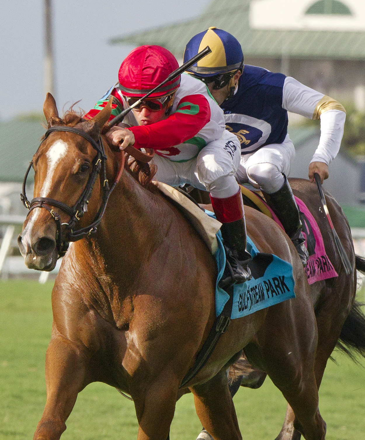 Night Prowler wins the Dania Beach Stakes