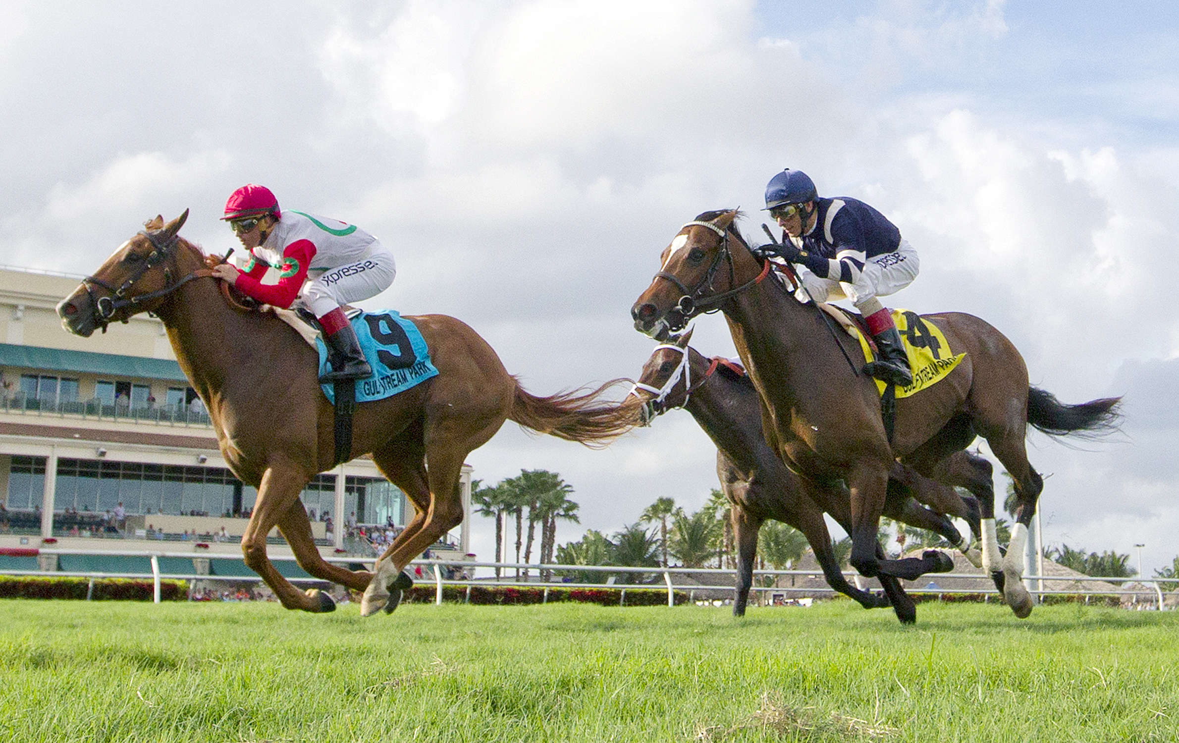 Night Prowler wins the Dania Beach Stakes