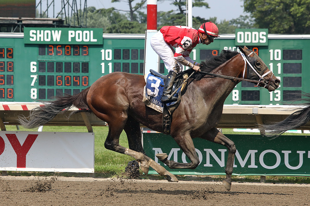 Night Ops finishes second in the Monmouth Cup at Monmouth Park