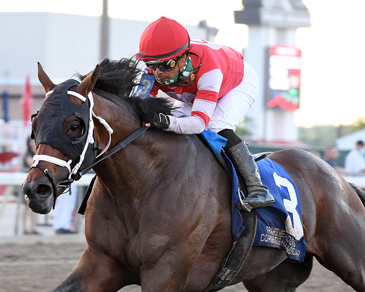 Night Ops wins the 2020 Prairie Meadows Cornhusker Stakes at Prairie Meadows