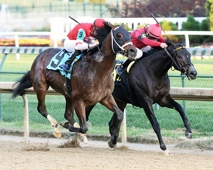 Night Ops (left) wins a Nov. 10 allowance at Churchill Downs