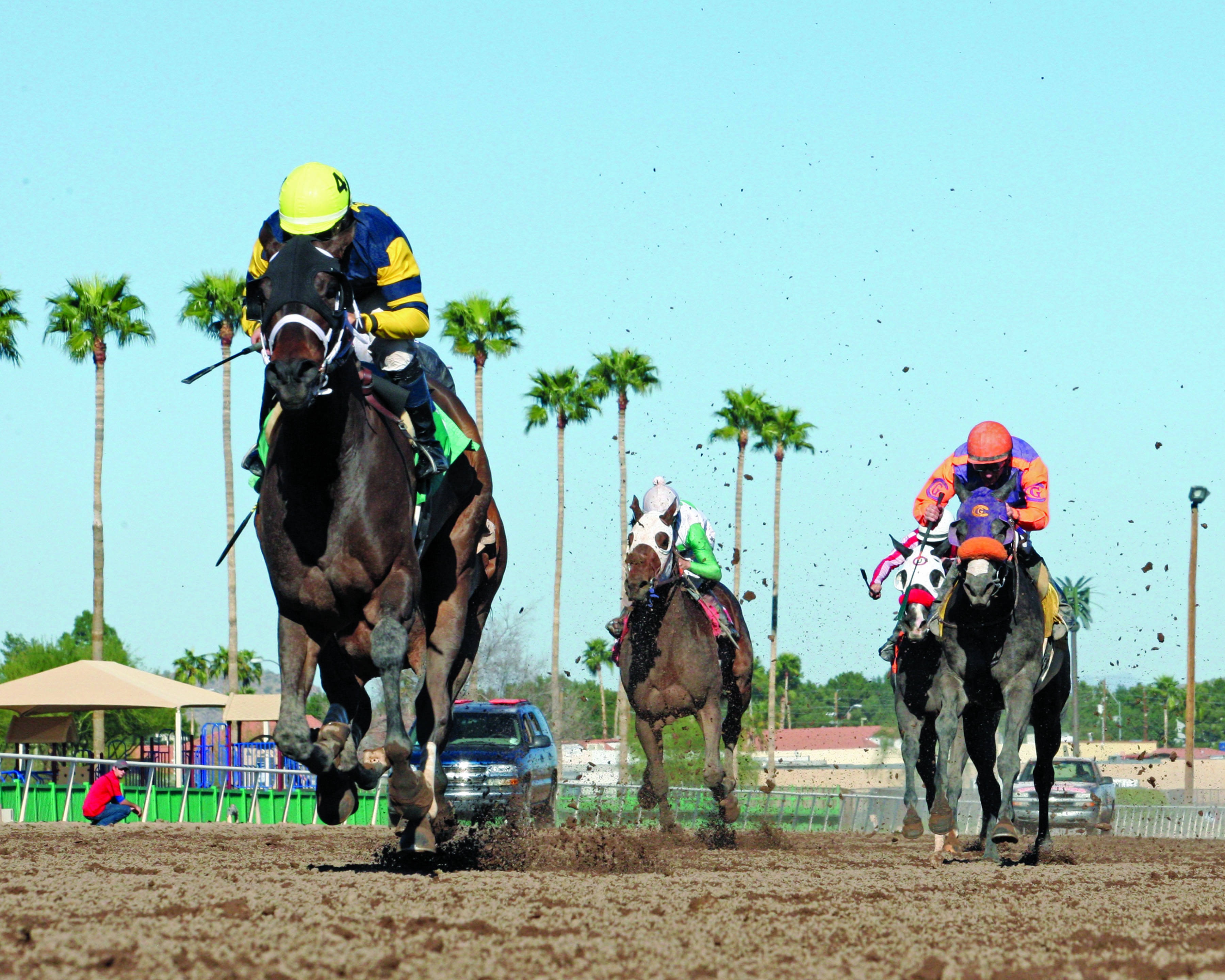 Nightly News wins the Turf Paradise Derby