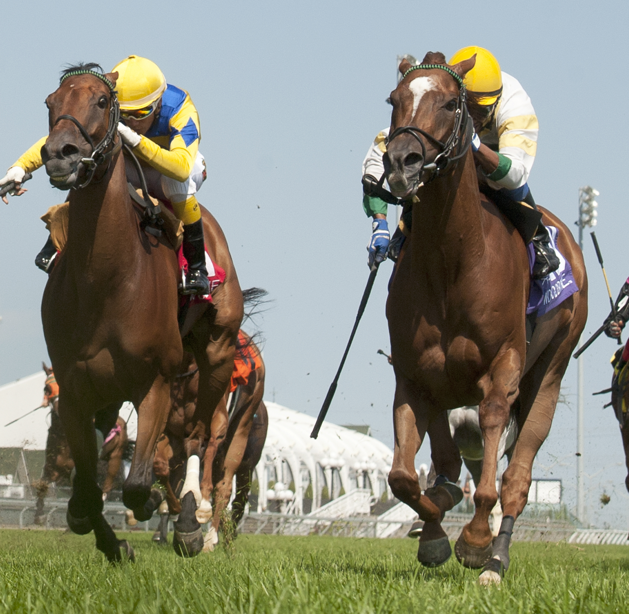 Niigon's Eclipse wins the 2017 Victoriana Stakes
