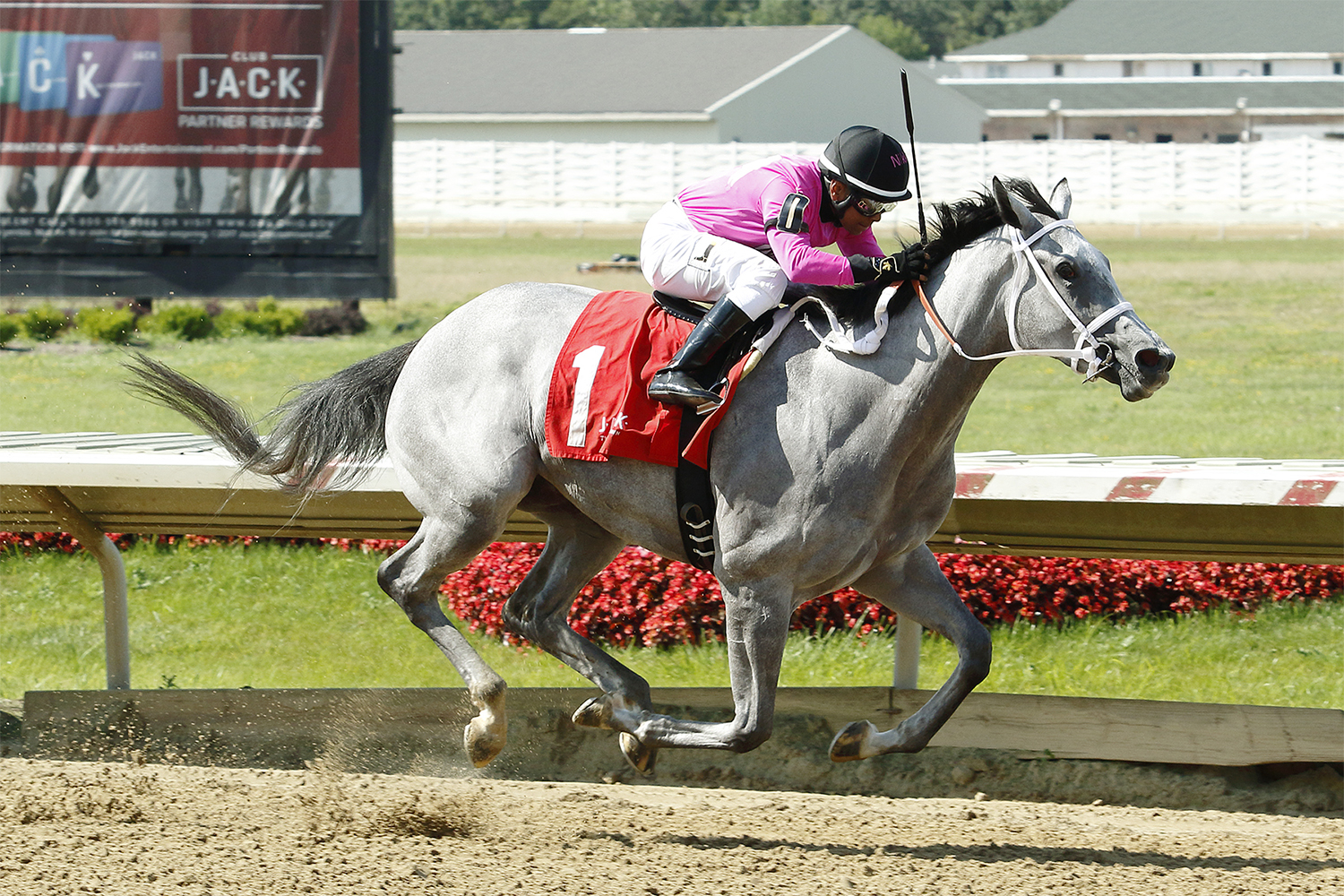 Nikki My Darling wins the 2017 Pay the Man Stakes