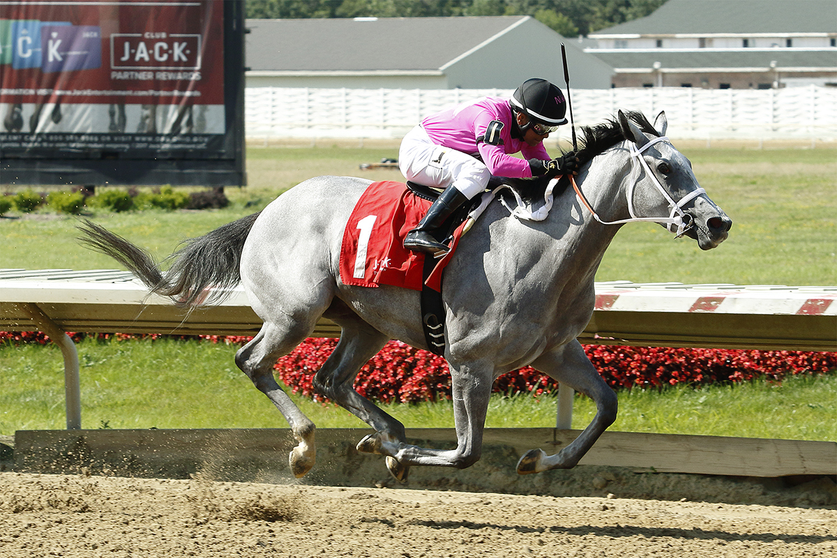 Nikki My Darling wins the 2017 Pay the Man Stakes