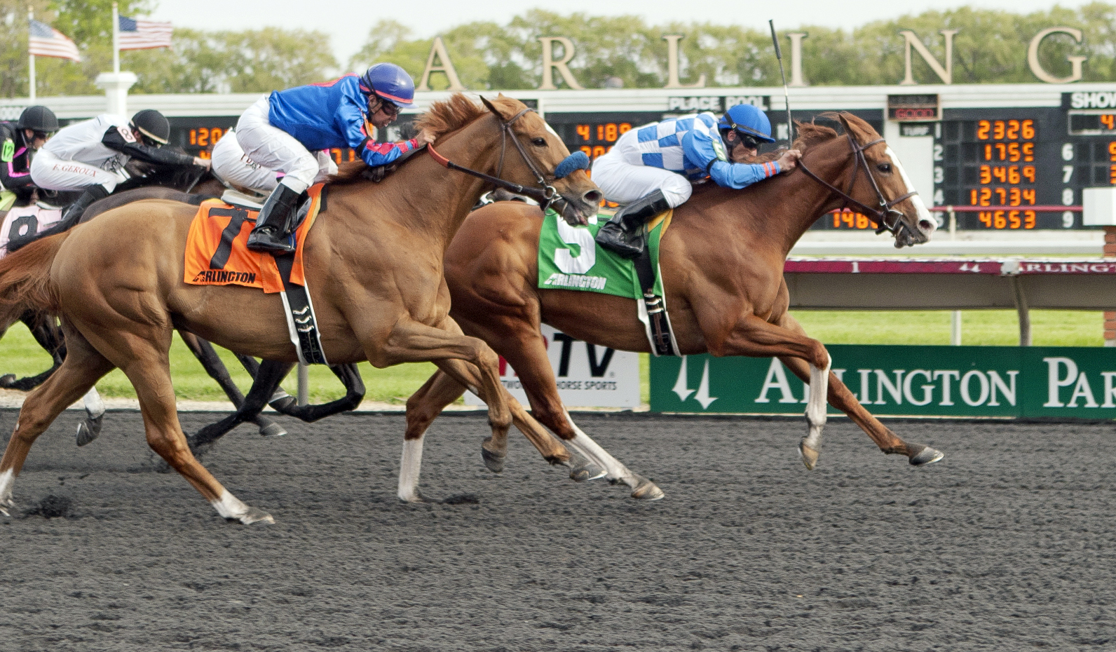 Nikki's Sandcastle wins the Hanshin Cup