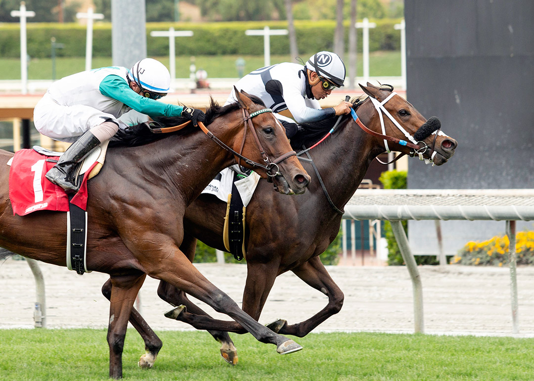 Nimbostratus (inside) wins a May 22 optional claiming race at Santa Anita