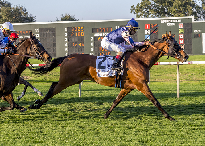 Ninety One Assault wins the 2019 Louisiana Champions Day Turf at Fair Grounds