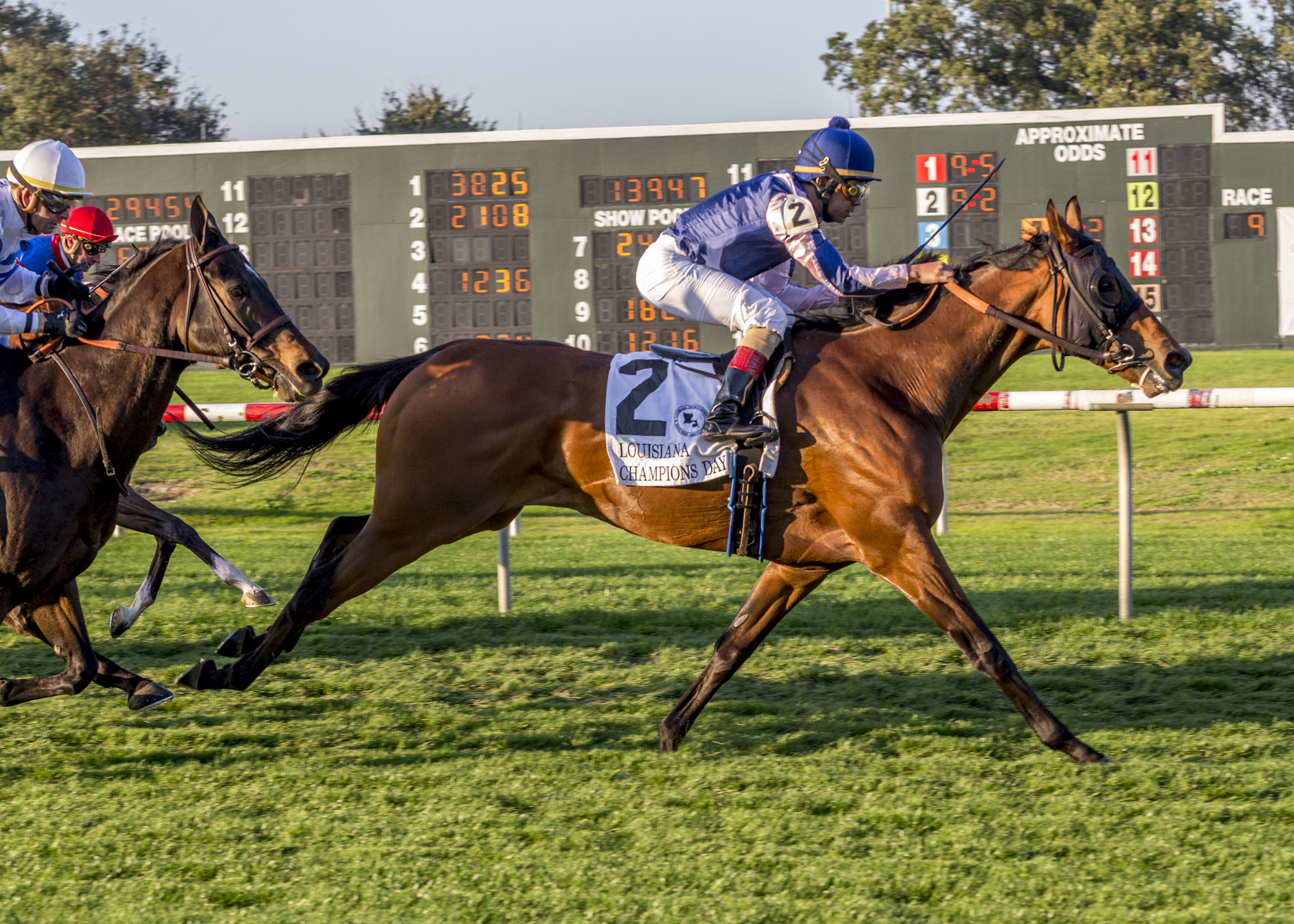 Ninety One Assault/Louisiana Champions Day Turf