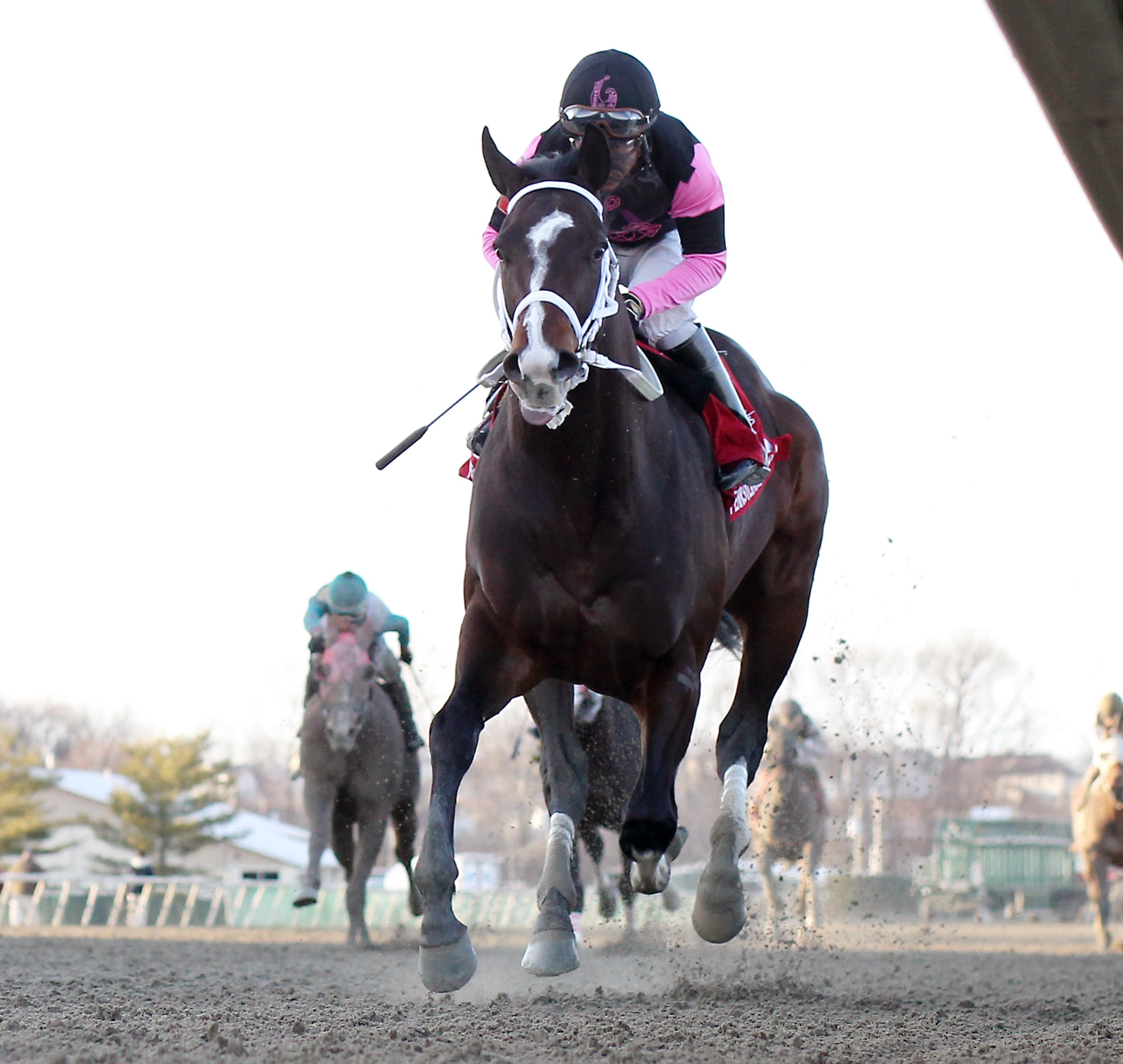 Ninetyprcentmaddie wins City of Brotherly Love at PRX March 6 2023
