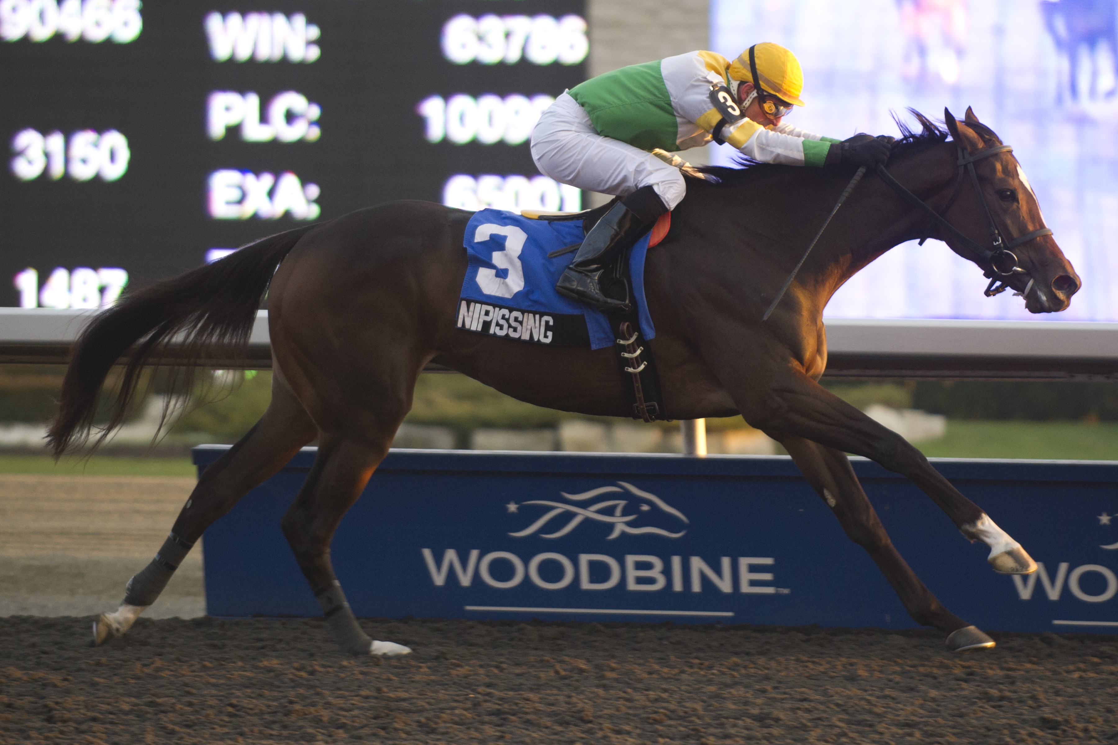Nipissing/South Ocean Stakes