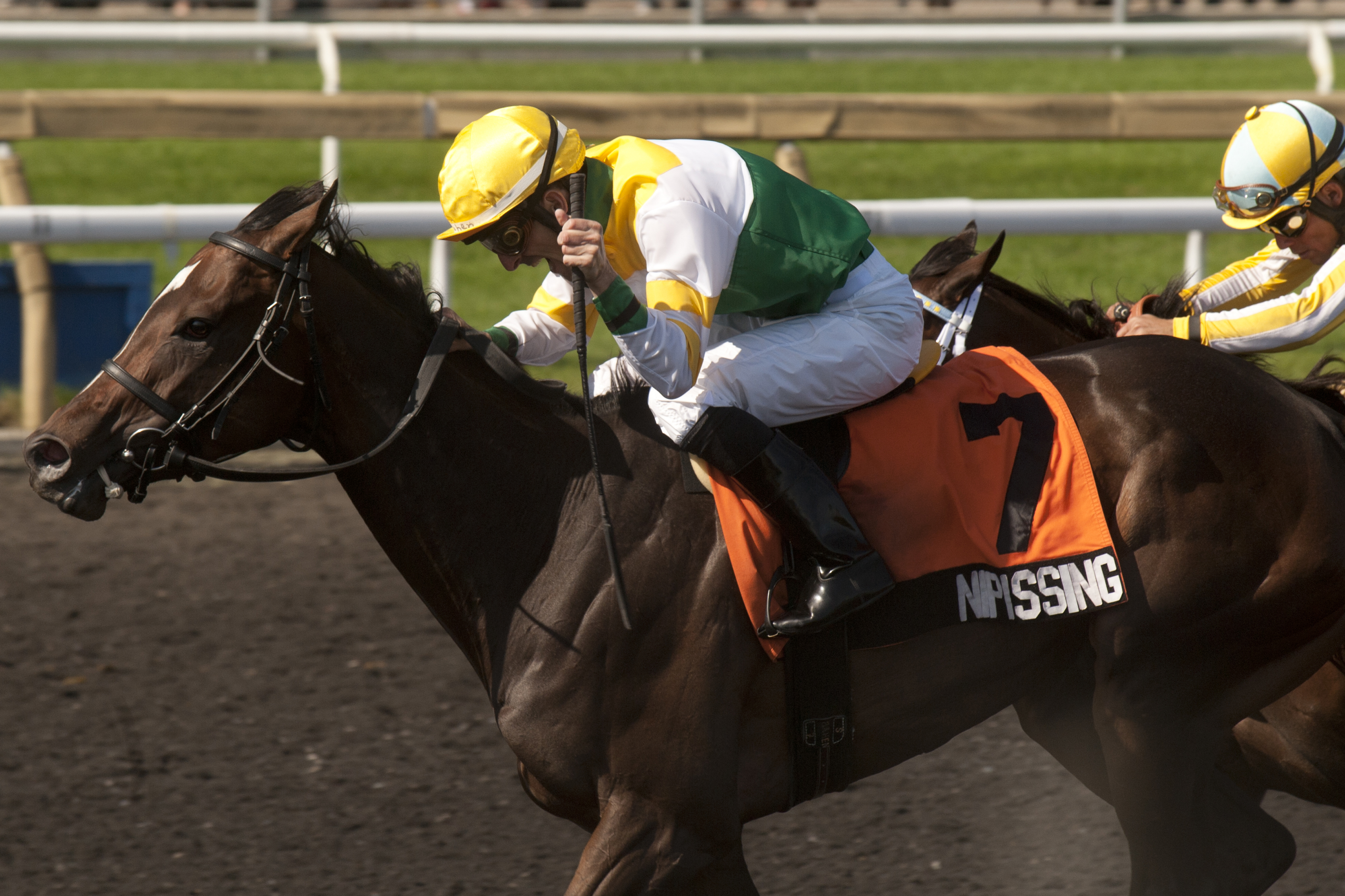 Nipissing, Woodbine Oaks