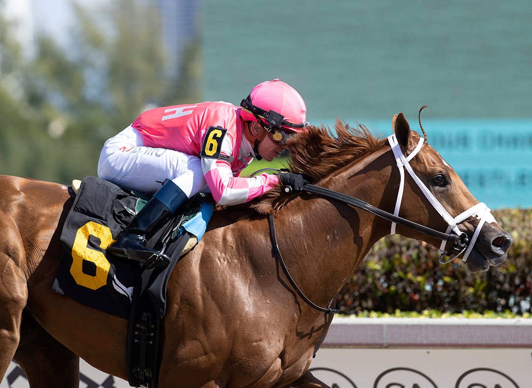 Nitrous Channel wins a Feb. 5 maiden race at Gulfstream Park
