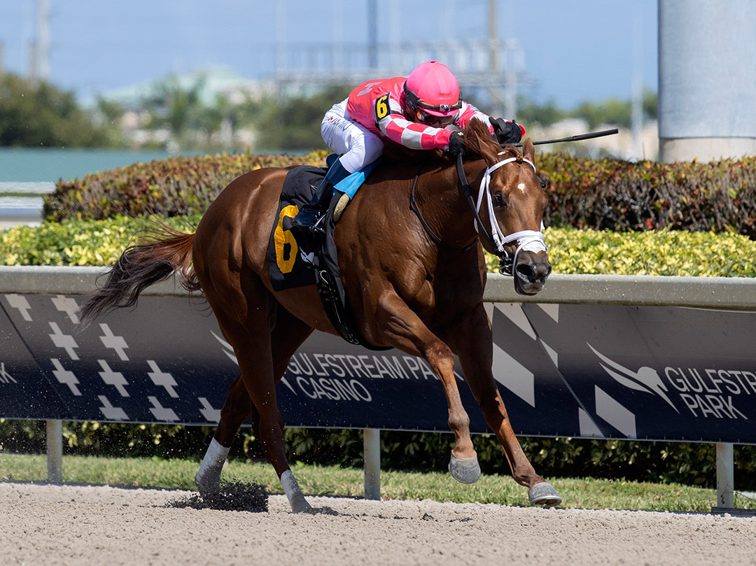 Nitrous Channel wins a Feb. 5 maiden race at Gulfstream Park