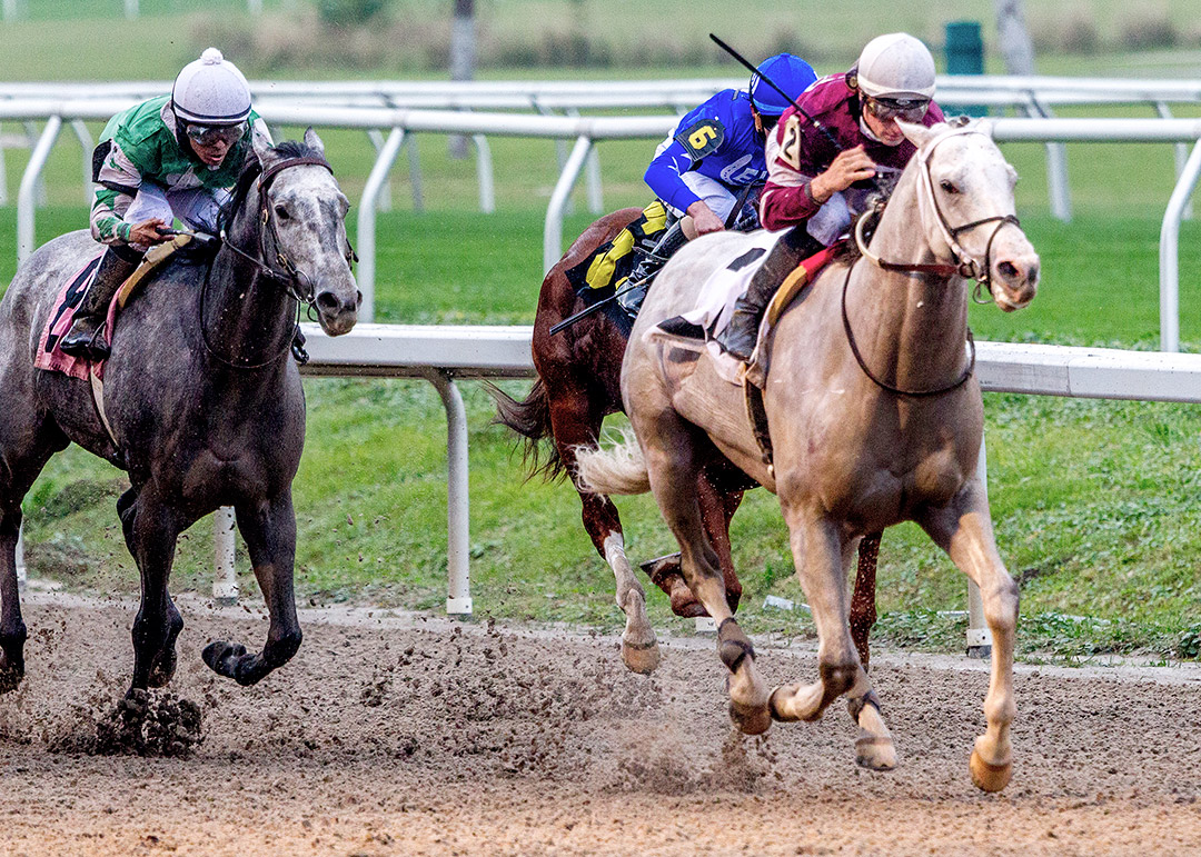 Nitrous wins the 2020 Thanksgiving Classic at Fair Grounds Race Course