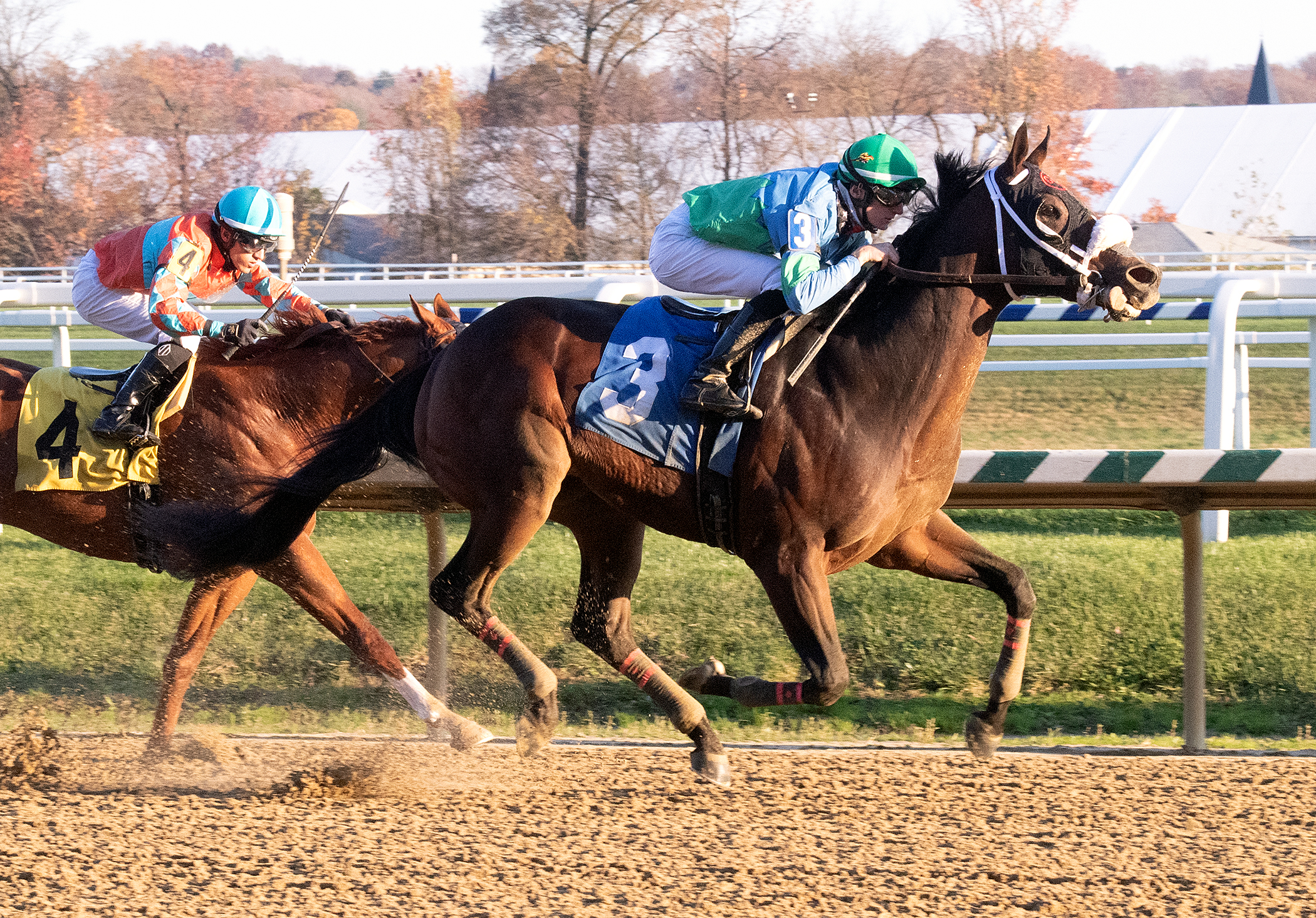No Cents wins the James F. Lewis 11-14-2020