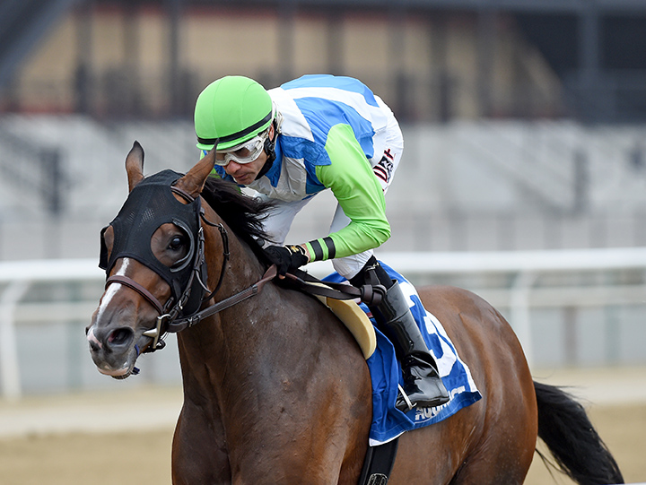 No Dozing wins the 2018 Bold Ruler
