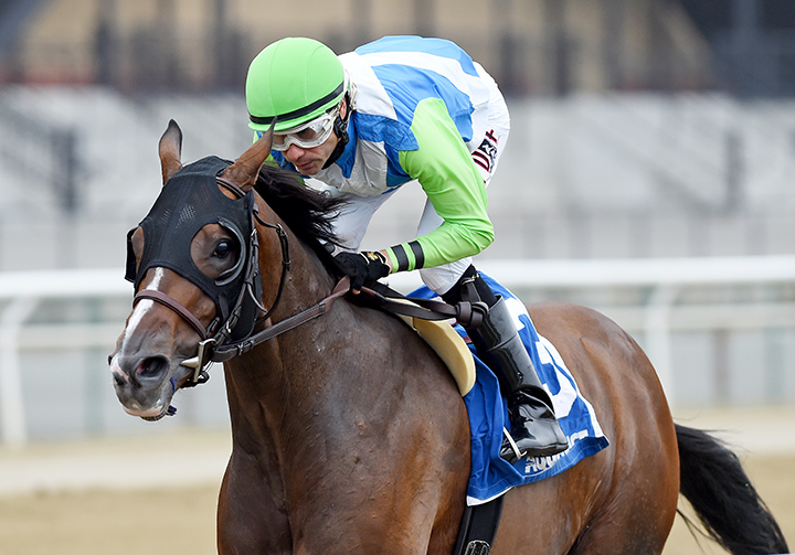 No Dozing wins the 2018 Bold Ruler