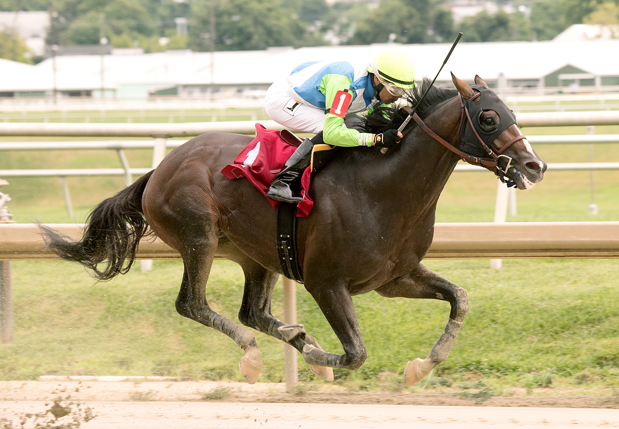 No Dozing wins the 2017 Concern Stakes