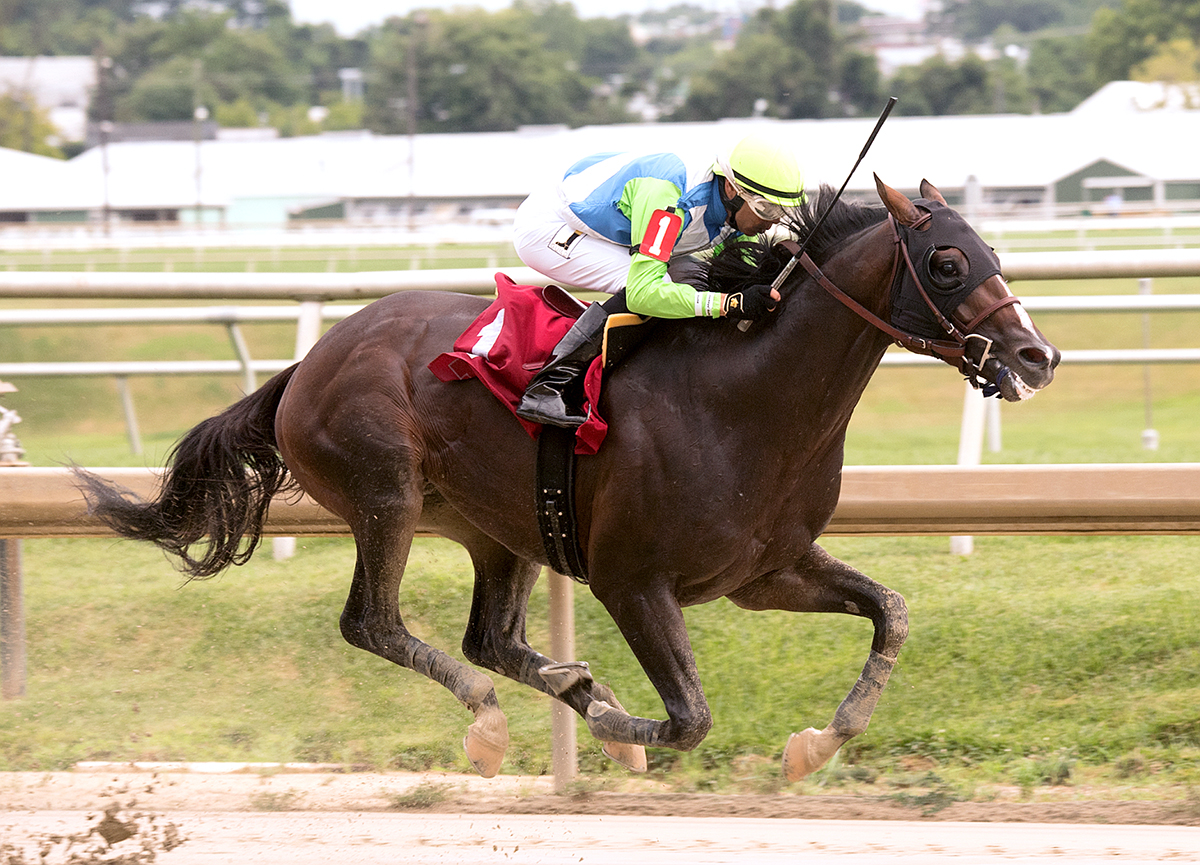 No Dozing wins the 2017 Concern Stakes