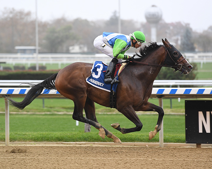 No Dozing wins the 2018 Bold Ruler