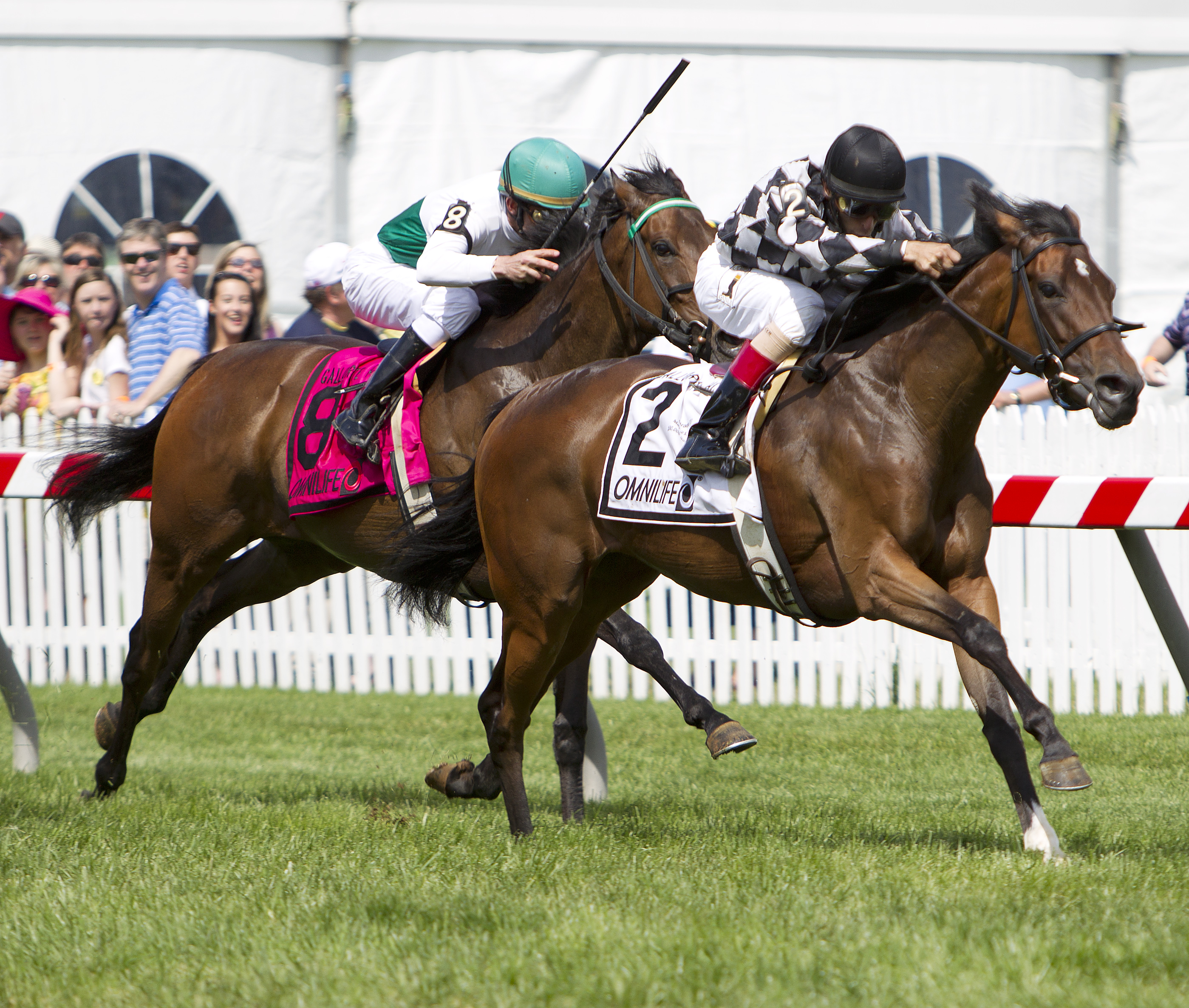 No Explaining wins the 2011 Gallorette Handicap