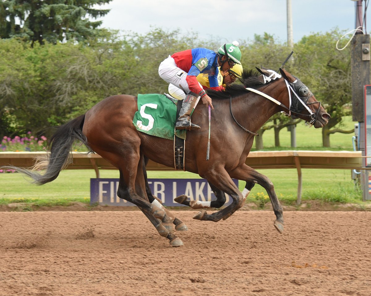 No Hayne No Gayne wins the Jack Betta Be Rite over Might Be at Finger Lakes on Aug. 12, 2019