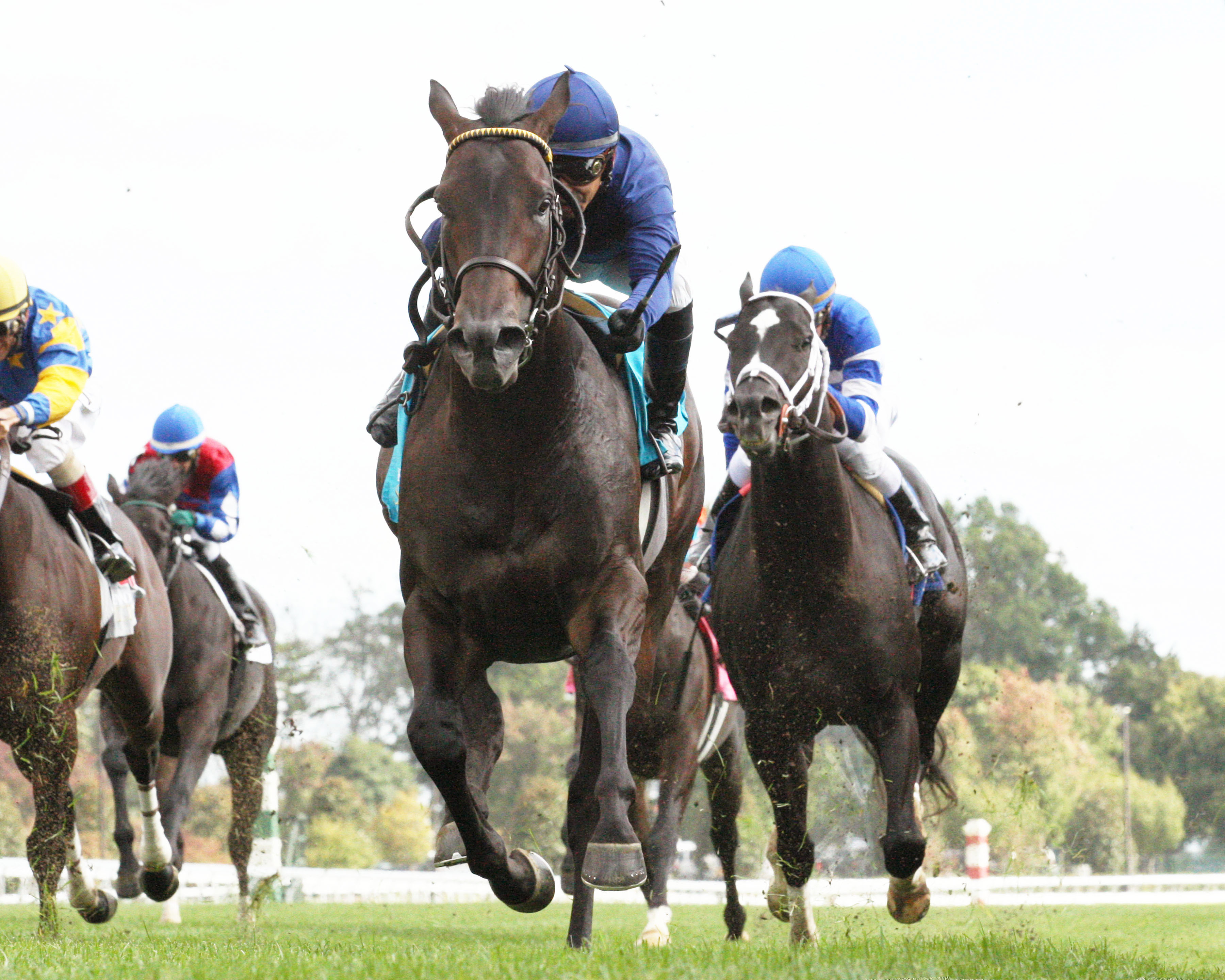 No Nay Never wins the Woodford
