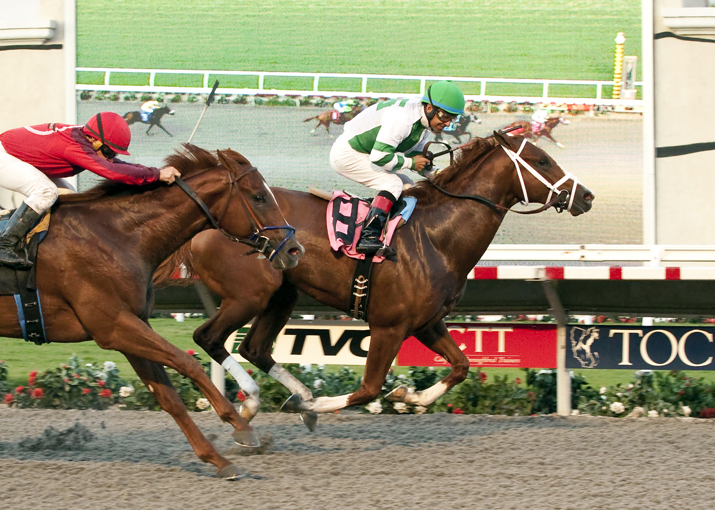 No Problem wins the Bob Hope Stakes