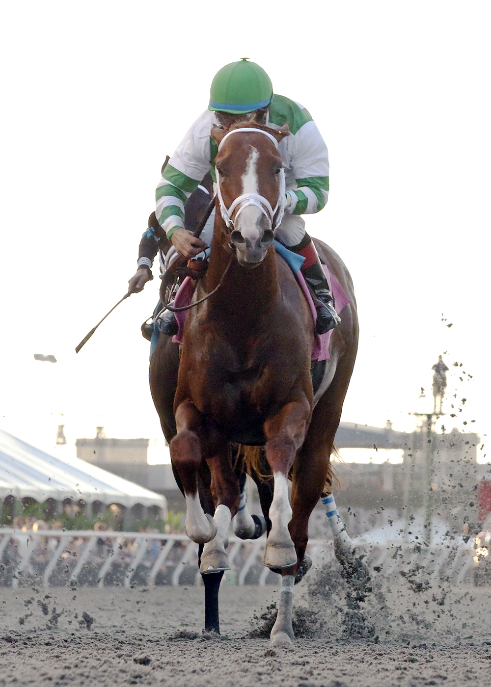 No Problem wins the Bob Hope
