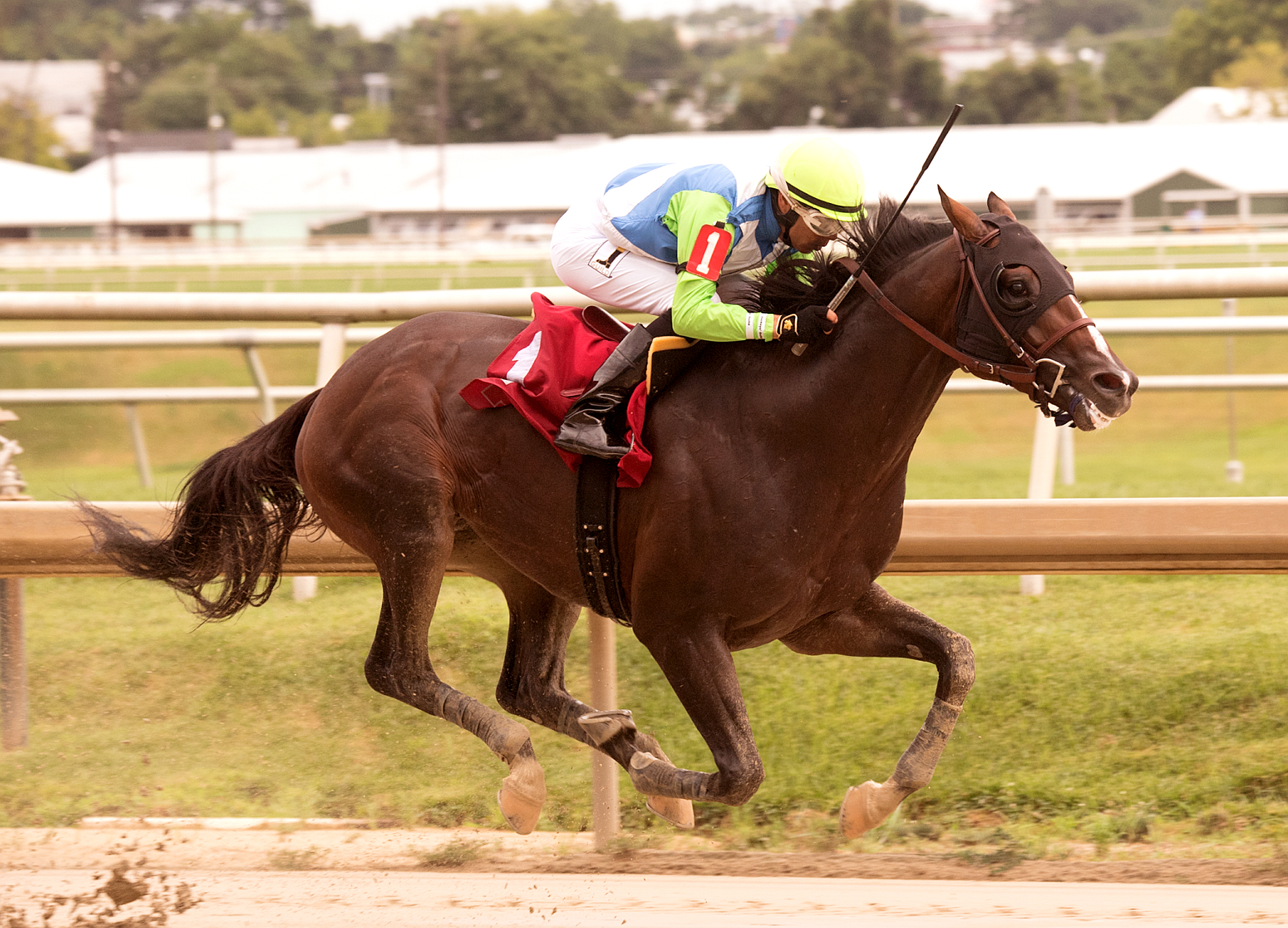 No Dozing wins the Concern Stakes at Laurel Park on 7.22.17_JMC