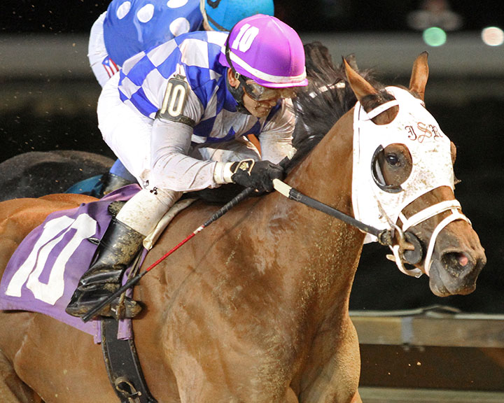 Noblame wins the 2018 Fancy Buckles