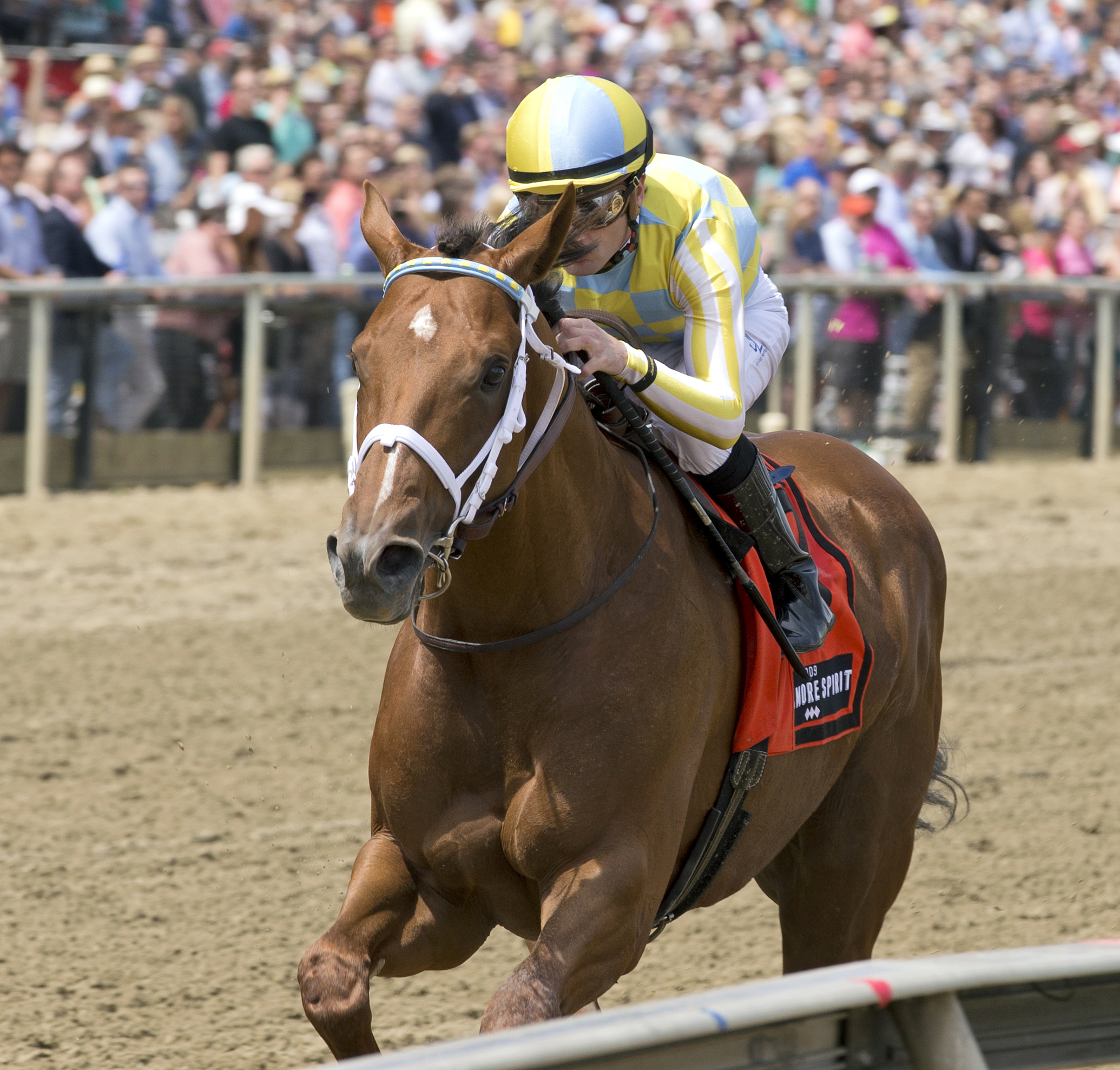 Noble Bird wins the Pimlico Special