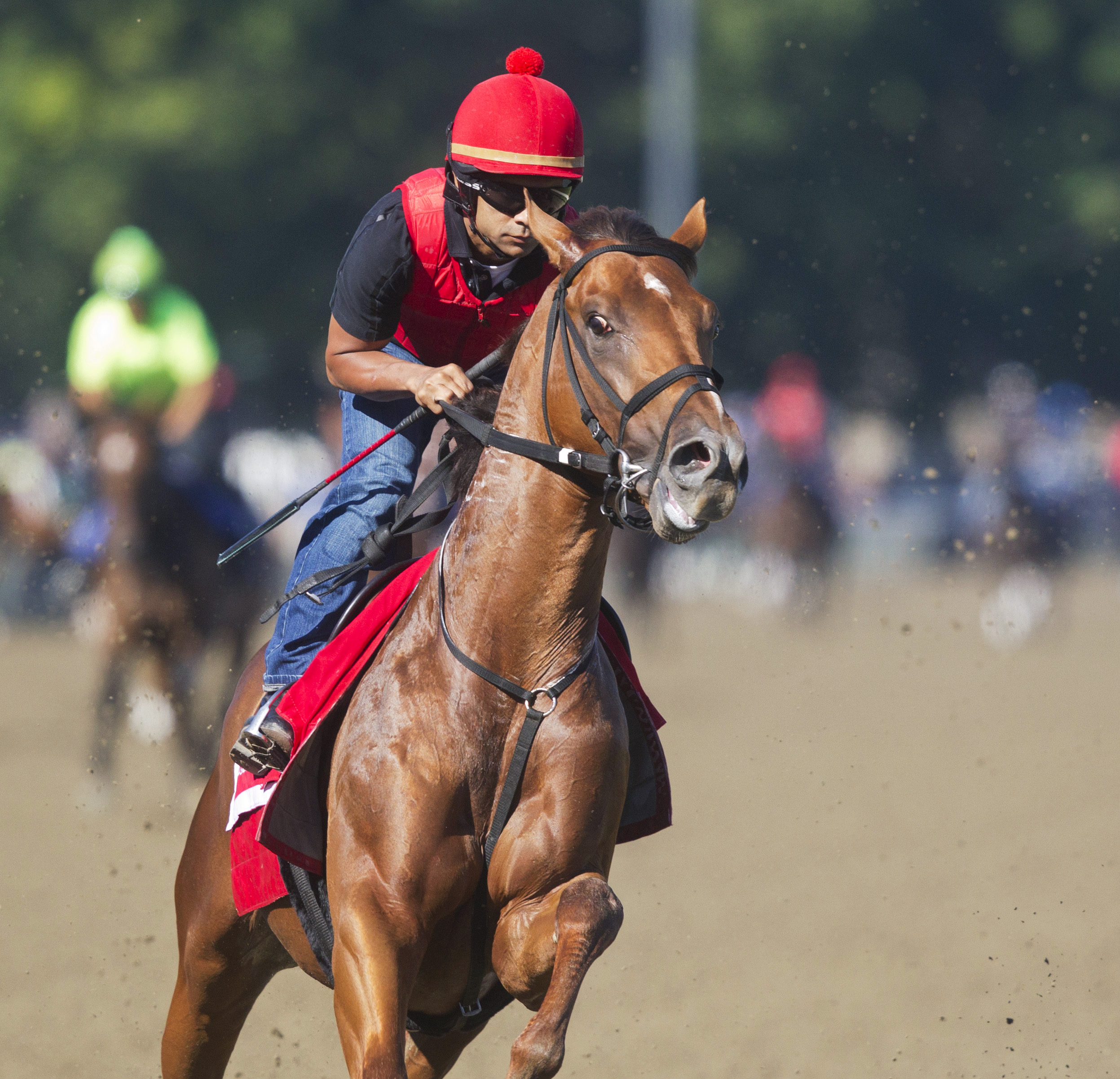 Noble Bird at Saratoga on July 31