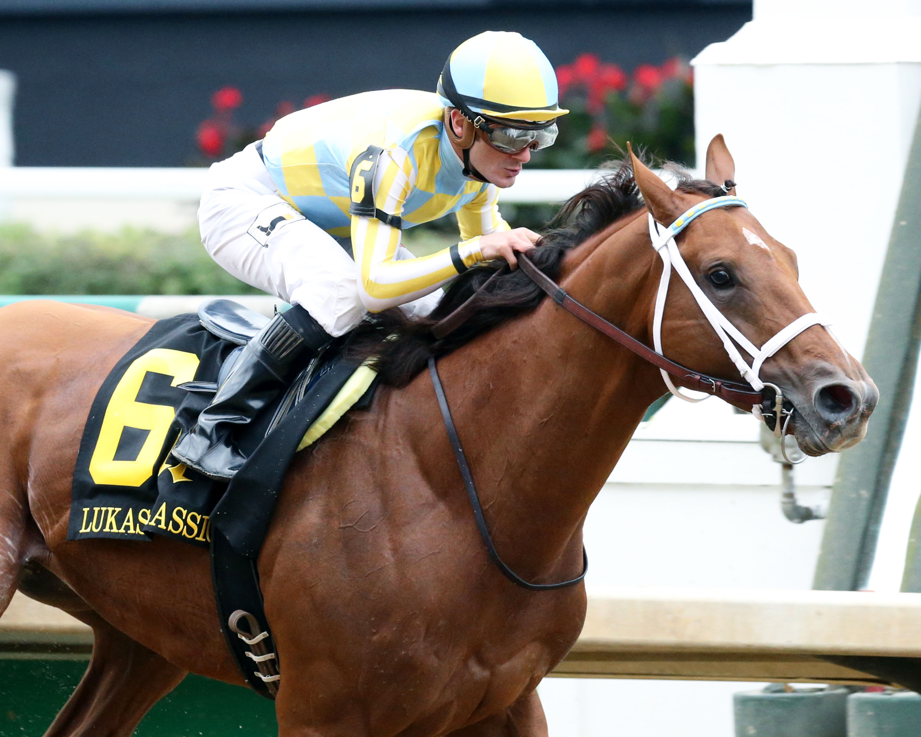 Noble Bird wins the Lukas Classic