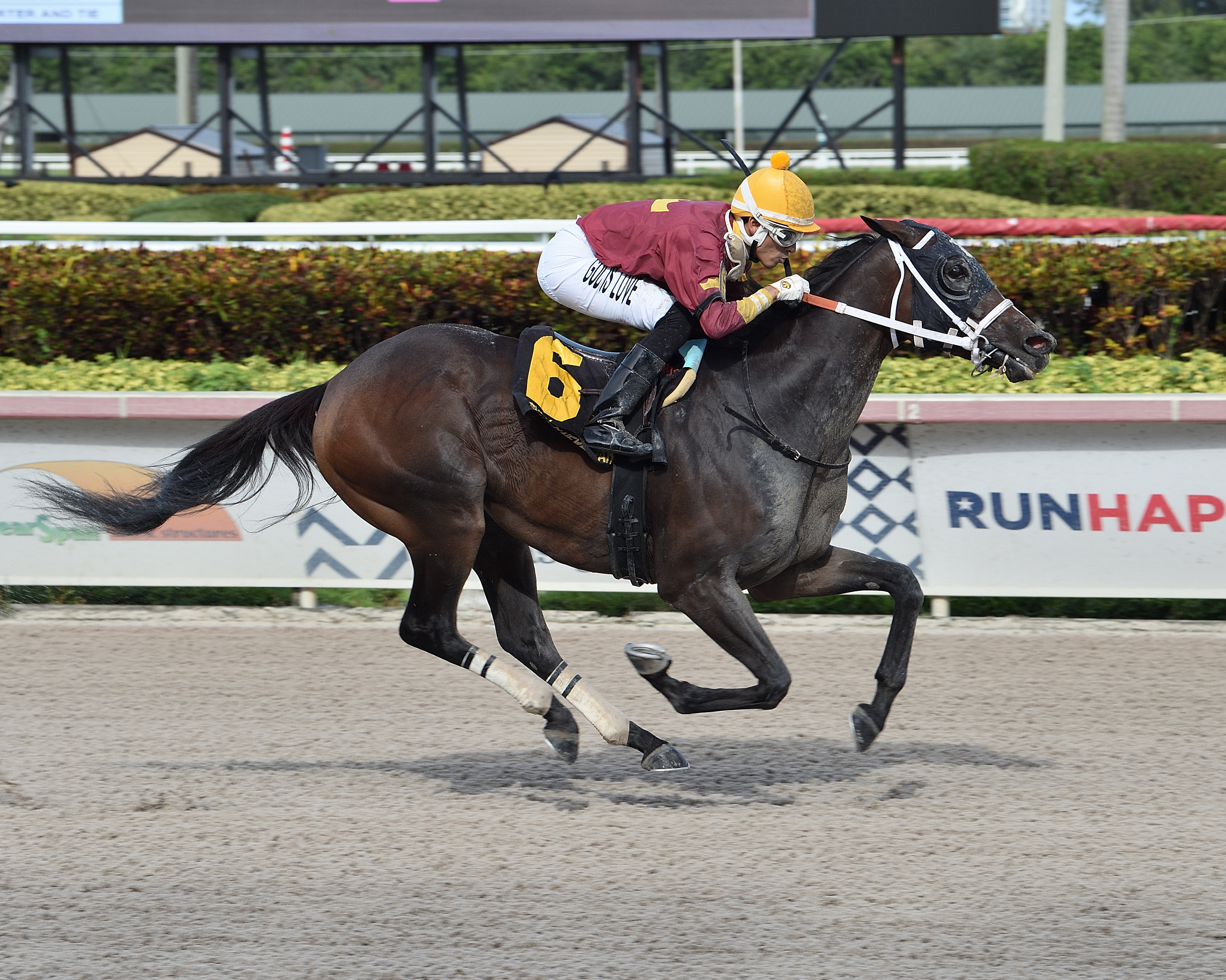 Noble Drama wins Benny the Bull 9-6-2020