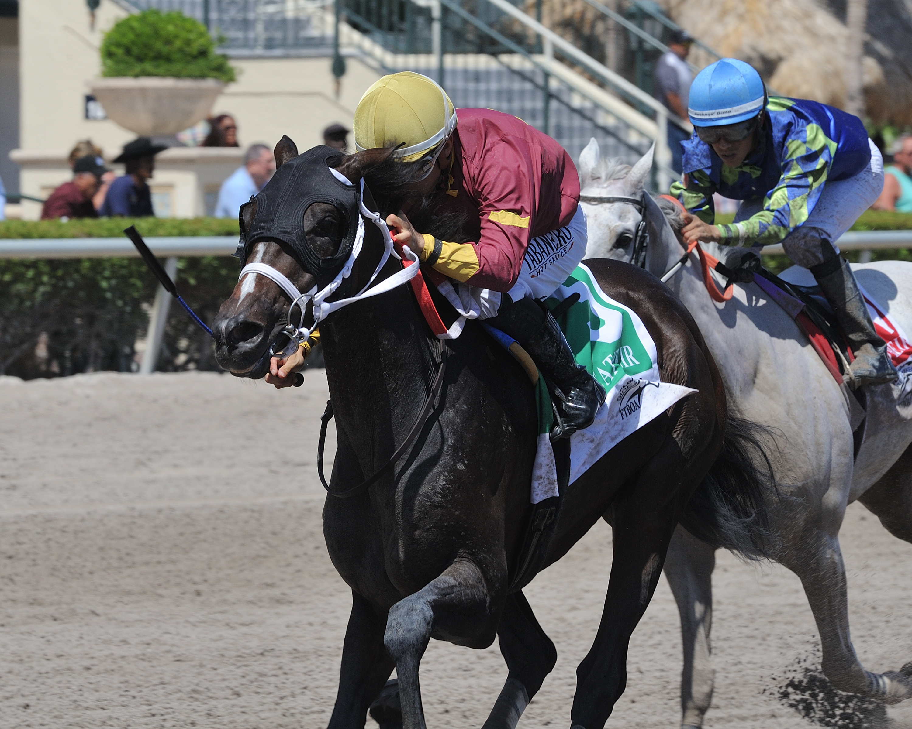Noble Drama wins the 2018 Wildcat Heir