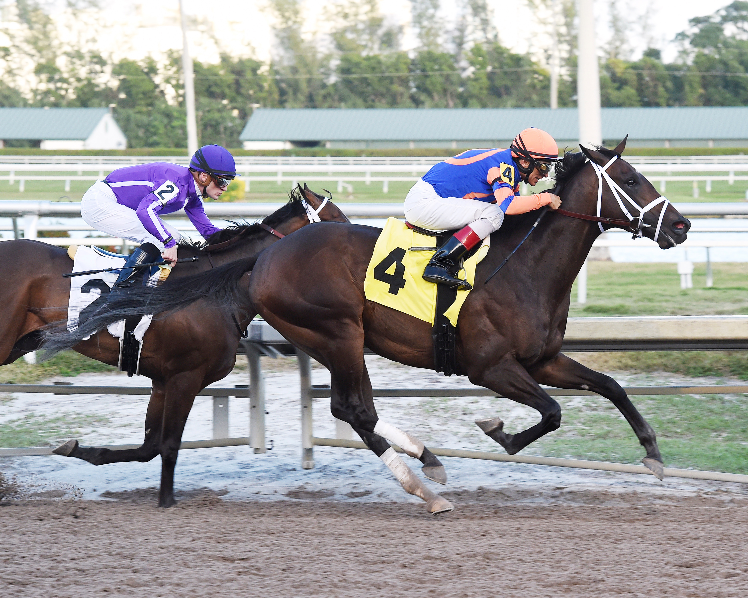 Noble Indy wins a Jan. 11 allowance