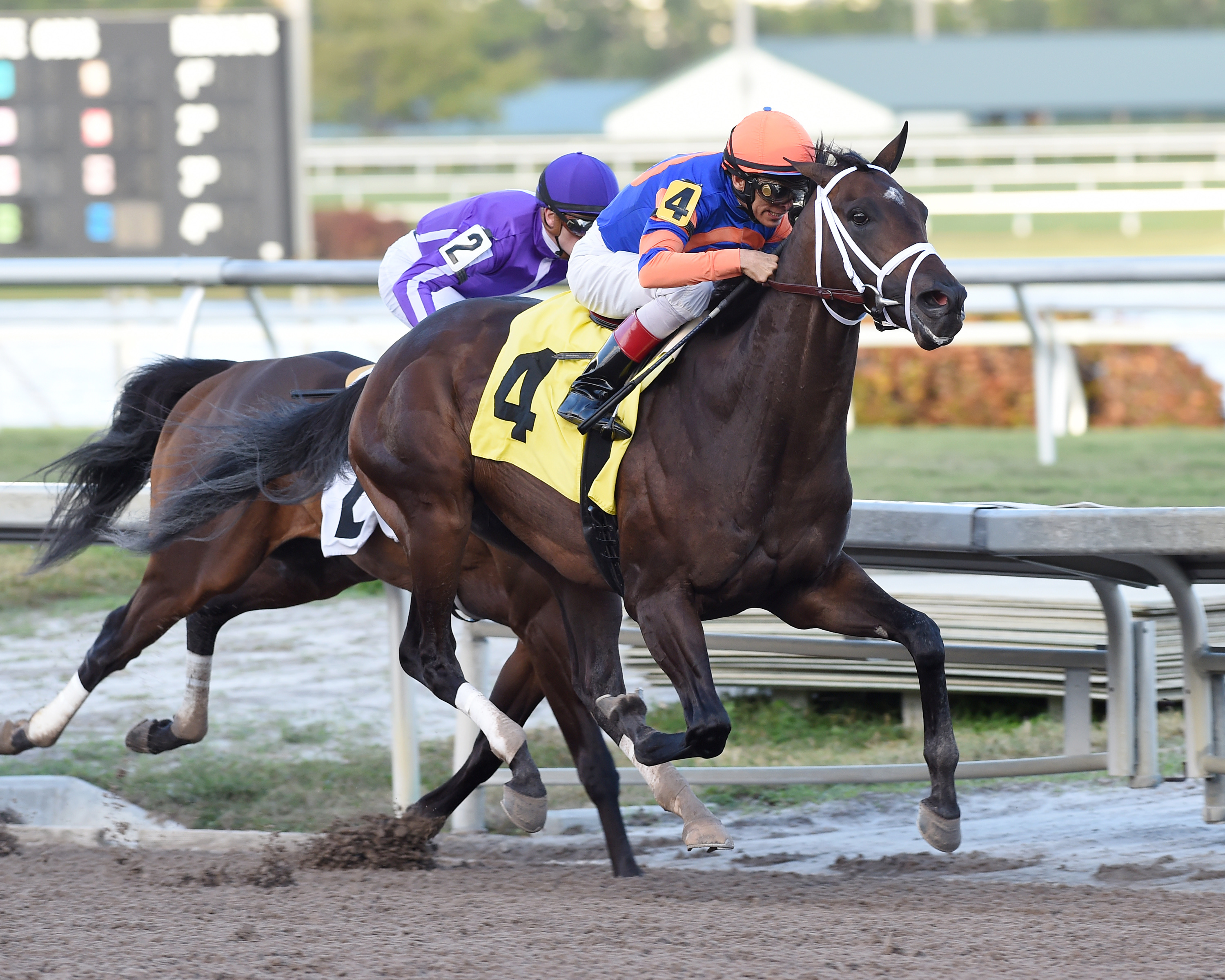 Noble Indy wins a Jan. 11 allowance