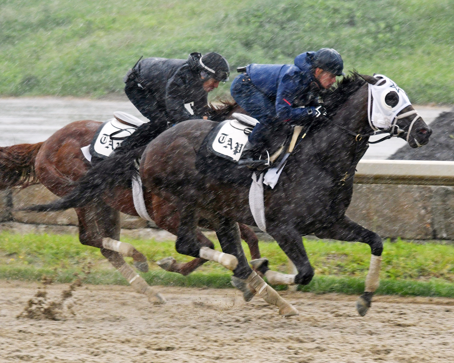 Noble Indy trains at Belmont on June 1