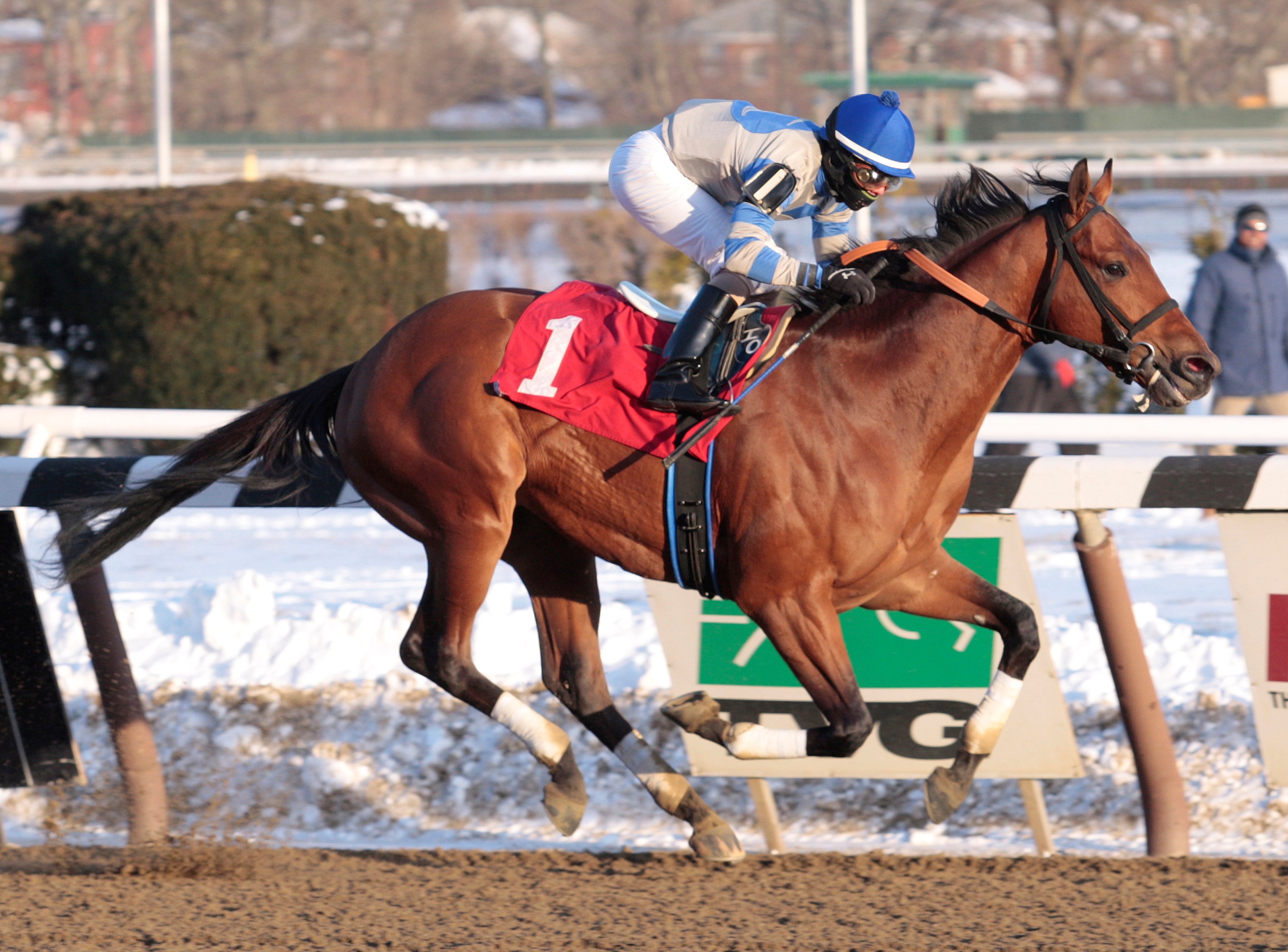 Noble Moon 1-4-14