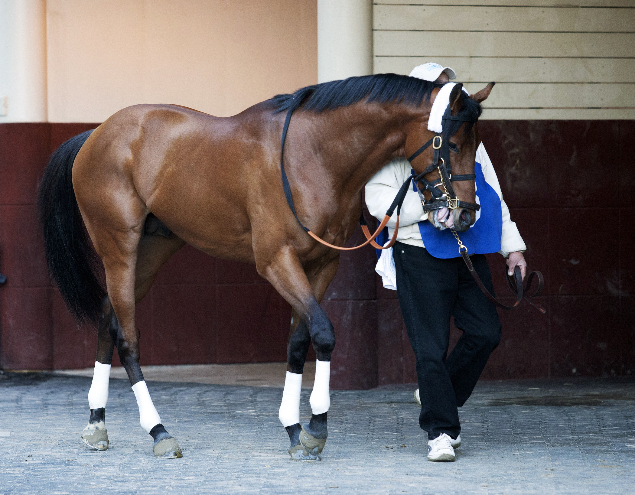 Noble Moon