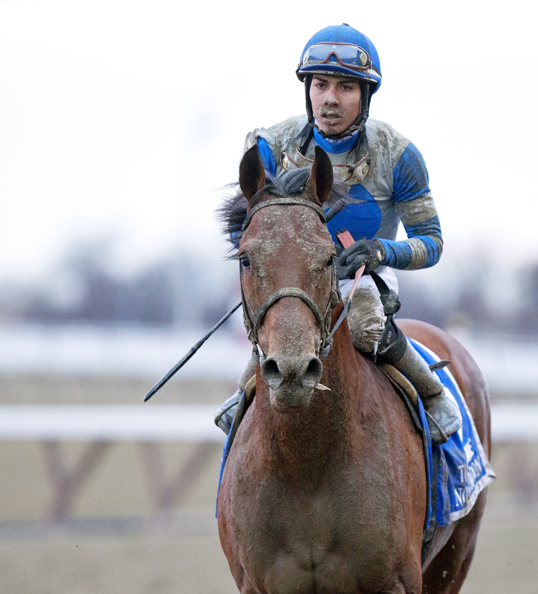 Noble Moon finishes sixth in the Cigar Mile