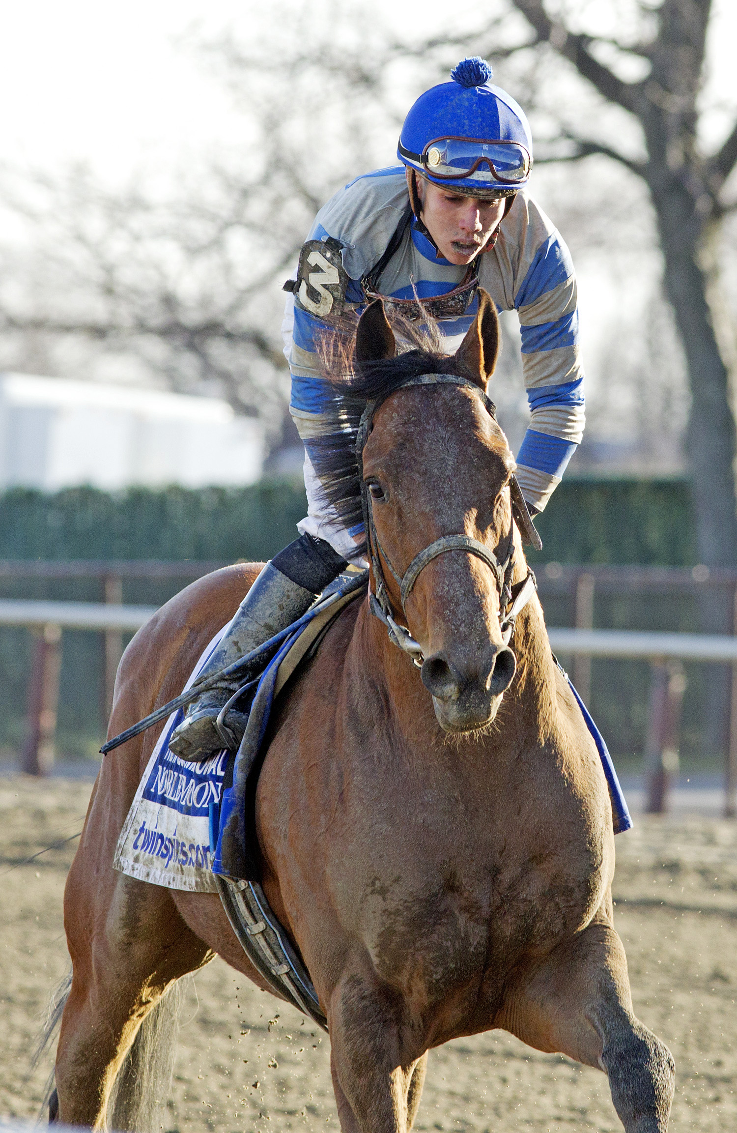 Noble Moon finishes sixth in the Wood Memorial