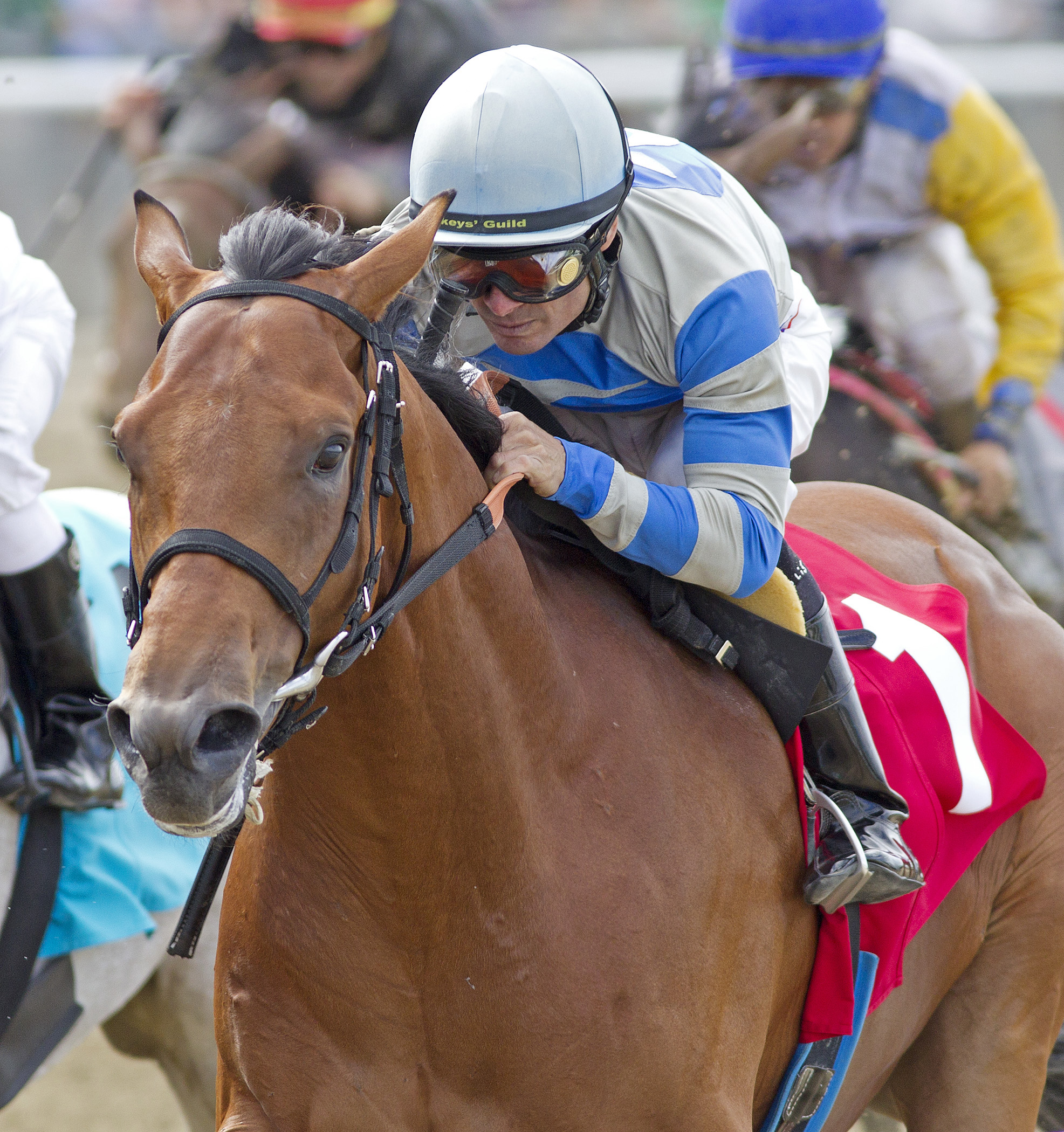 Noble Moon 9-2013