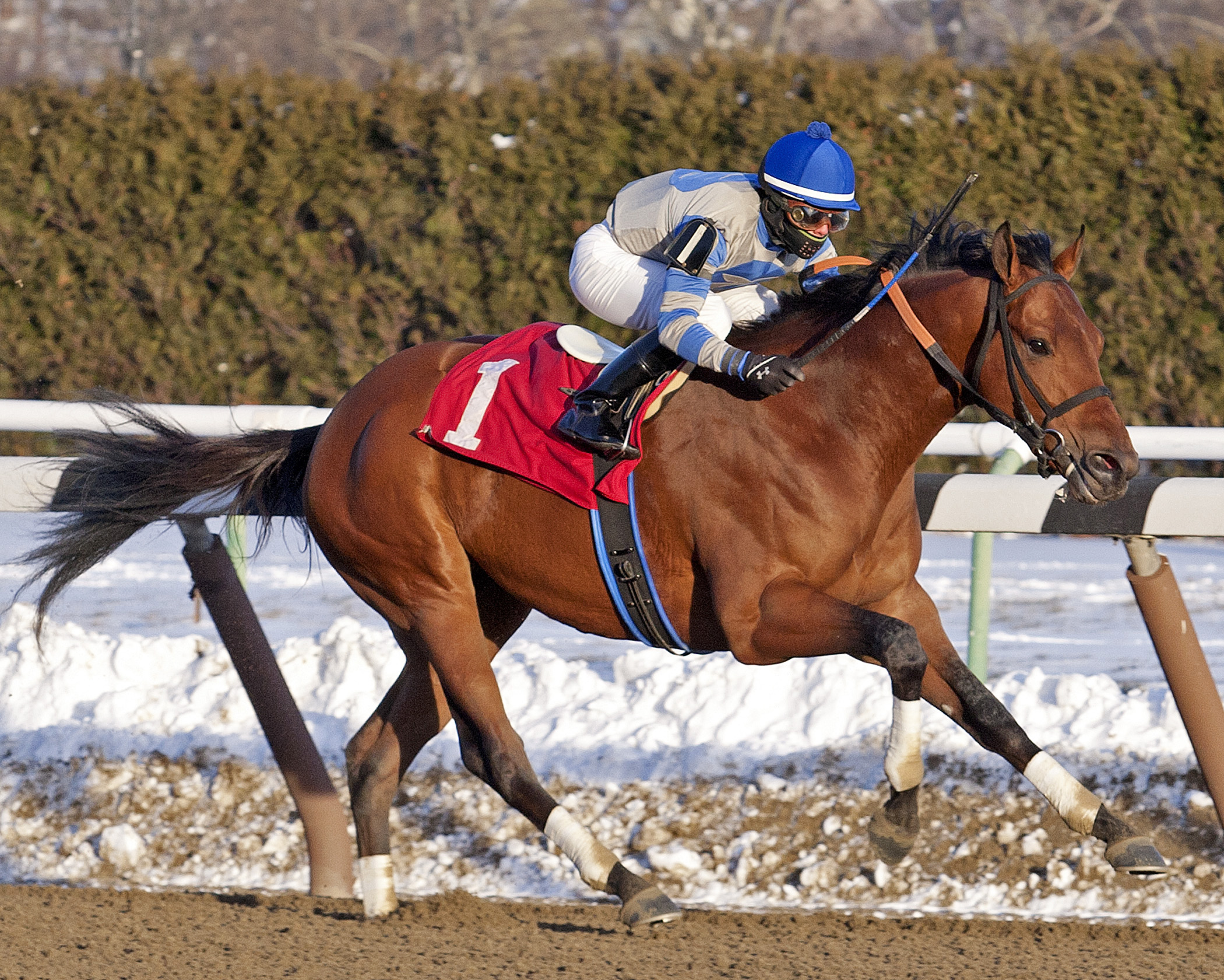 Noble Moon wins the Jerome