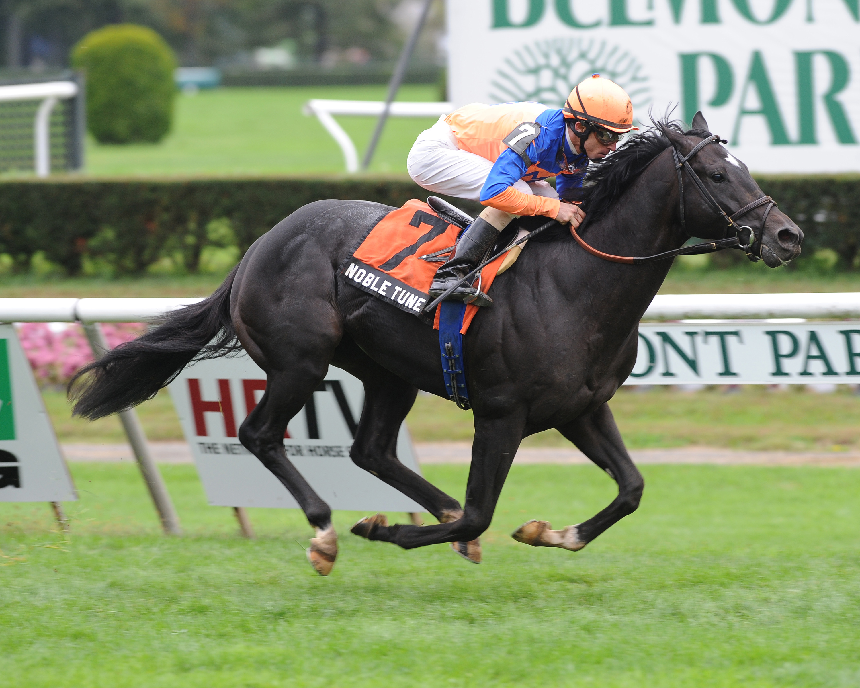 Noble Tune/Pilgrim Stakes