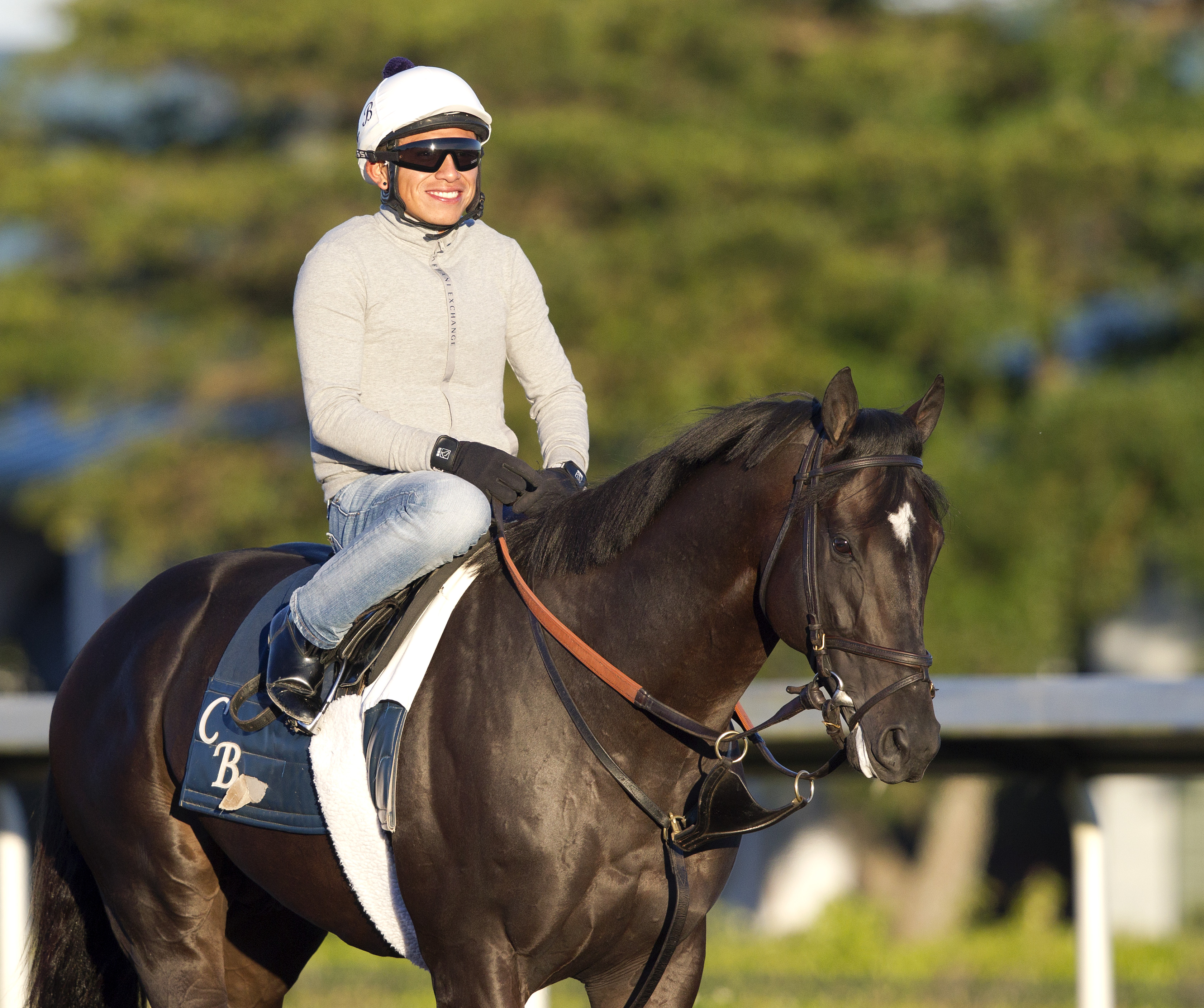 Noble Tune at Palm Meadows in February