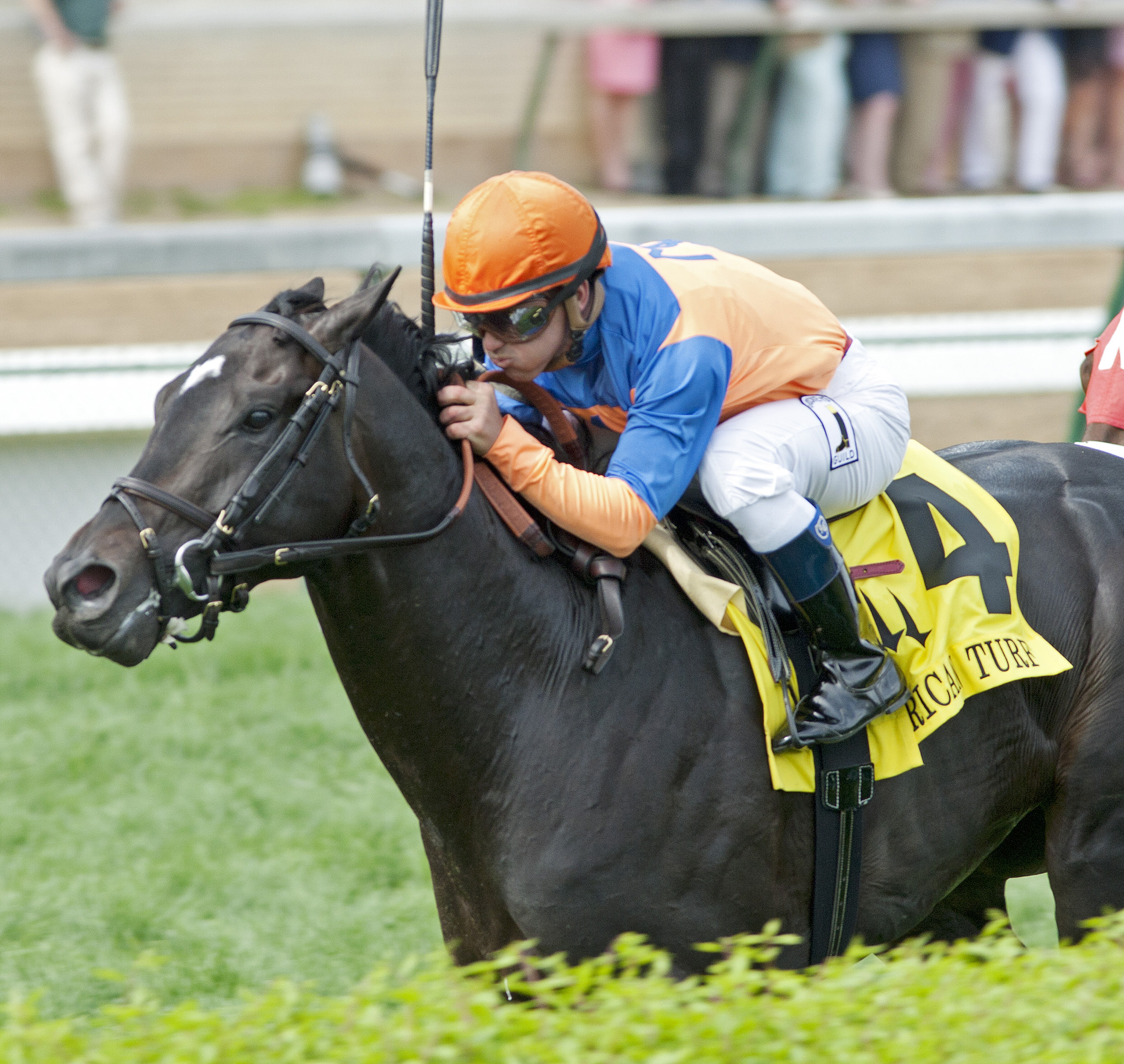 Noble Tune, American Turf