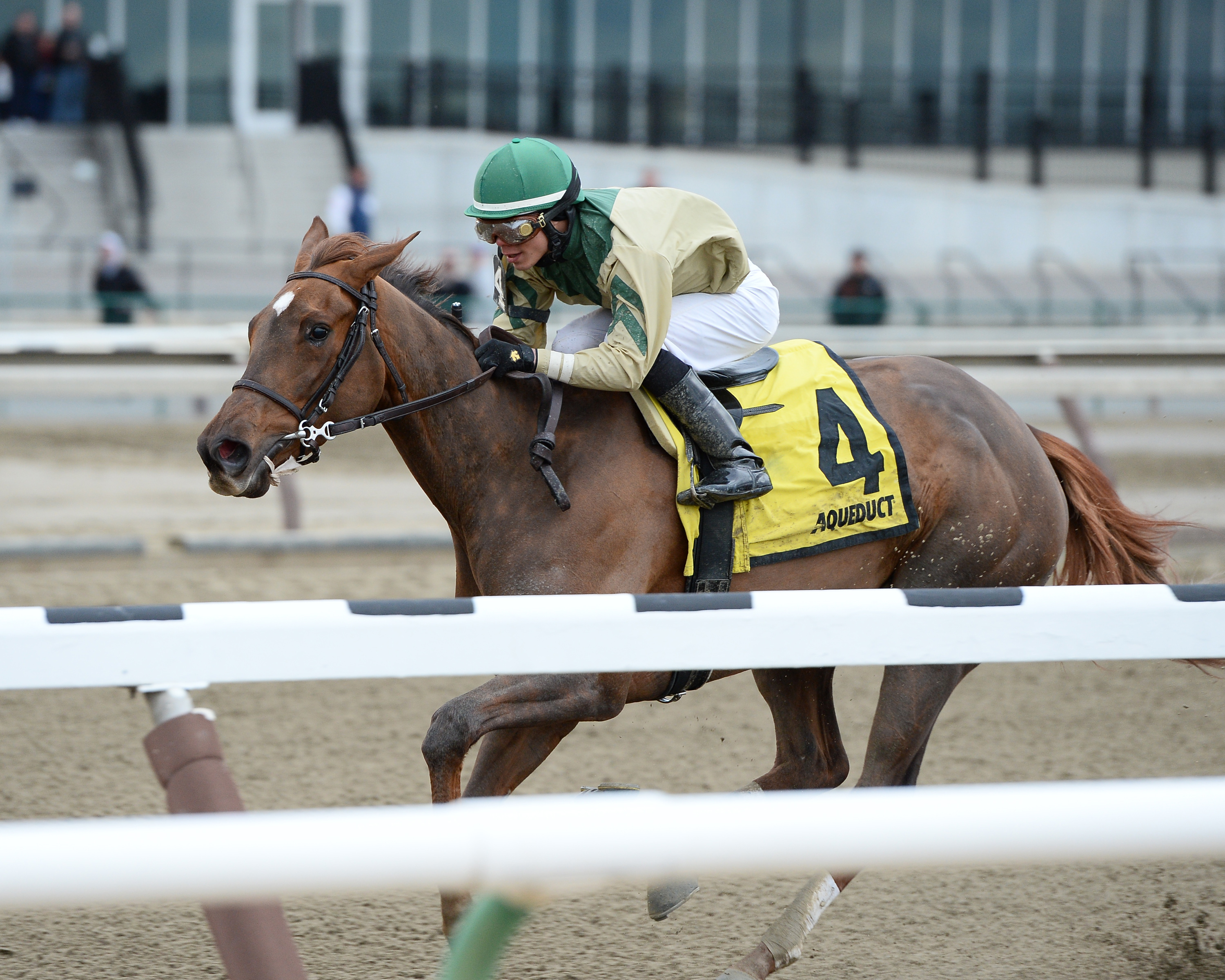 Noble and a Beauty 3-15-2015